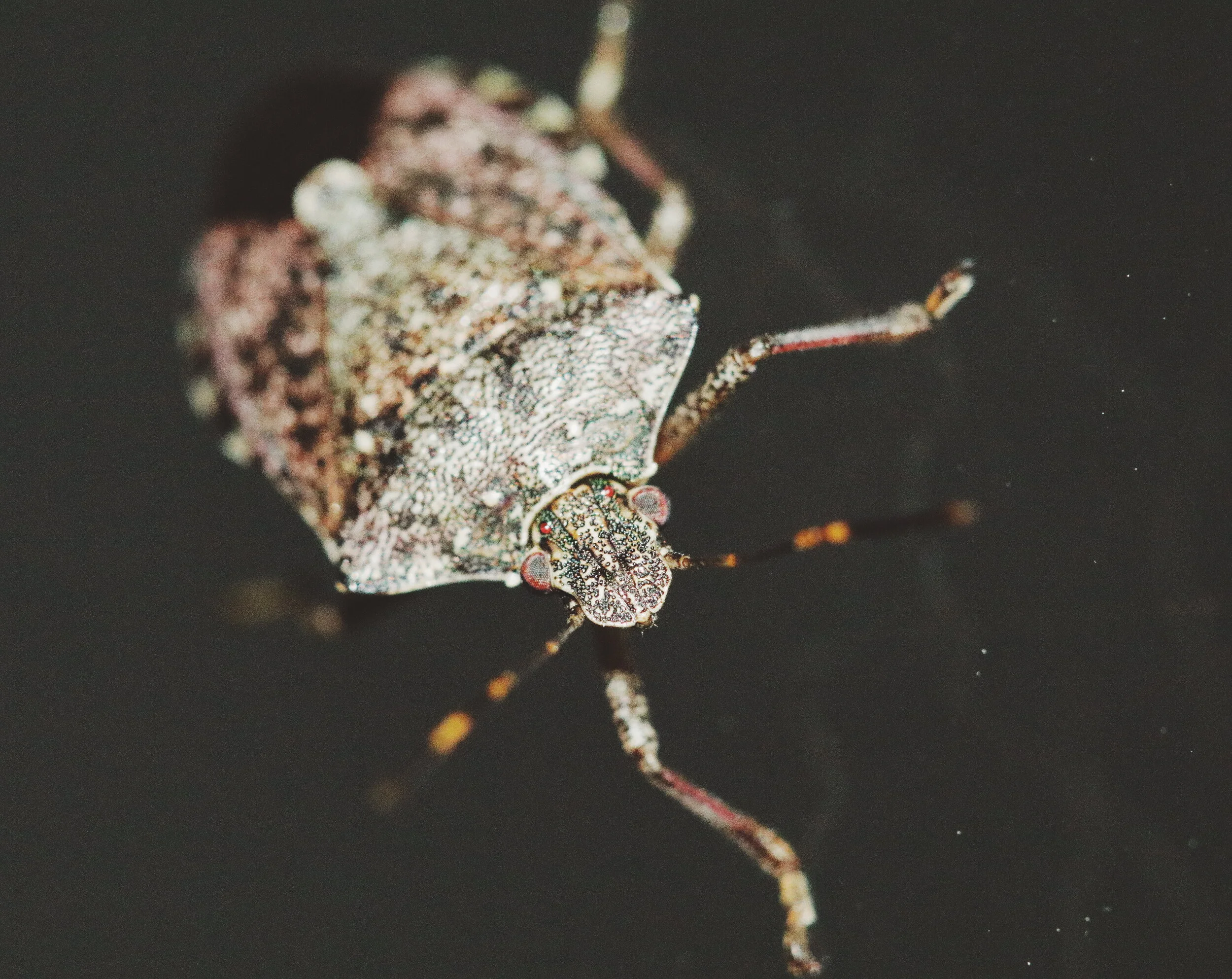 2018-08-16 12.02.46 1.jpg