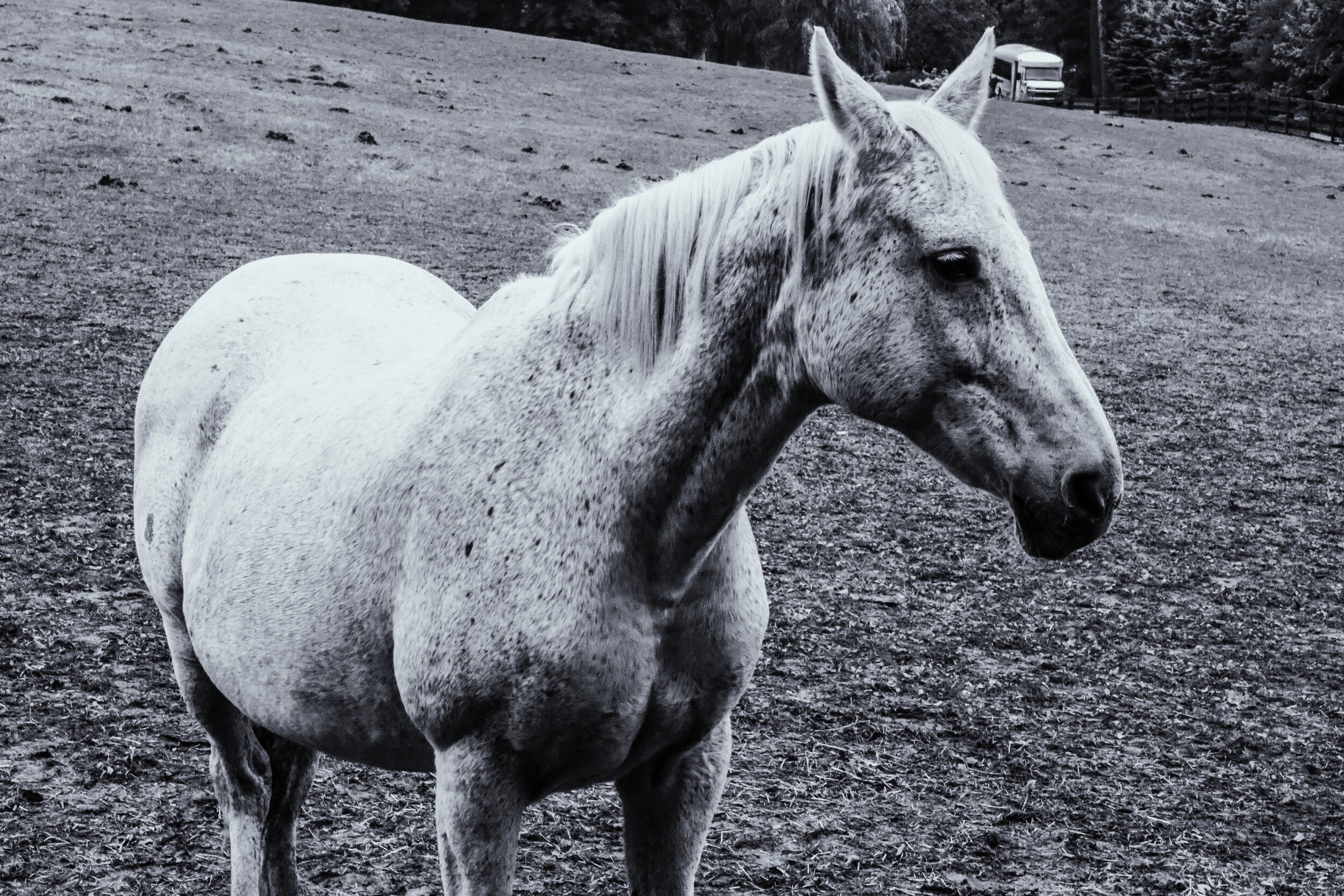 2018-10-07 07.44.04 1.jpg