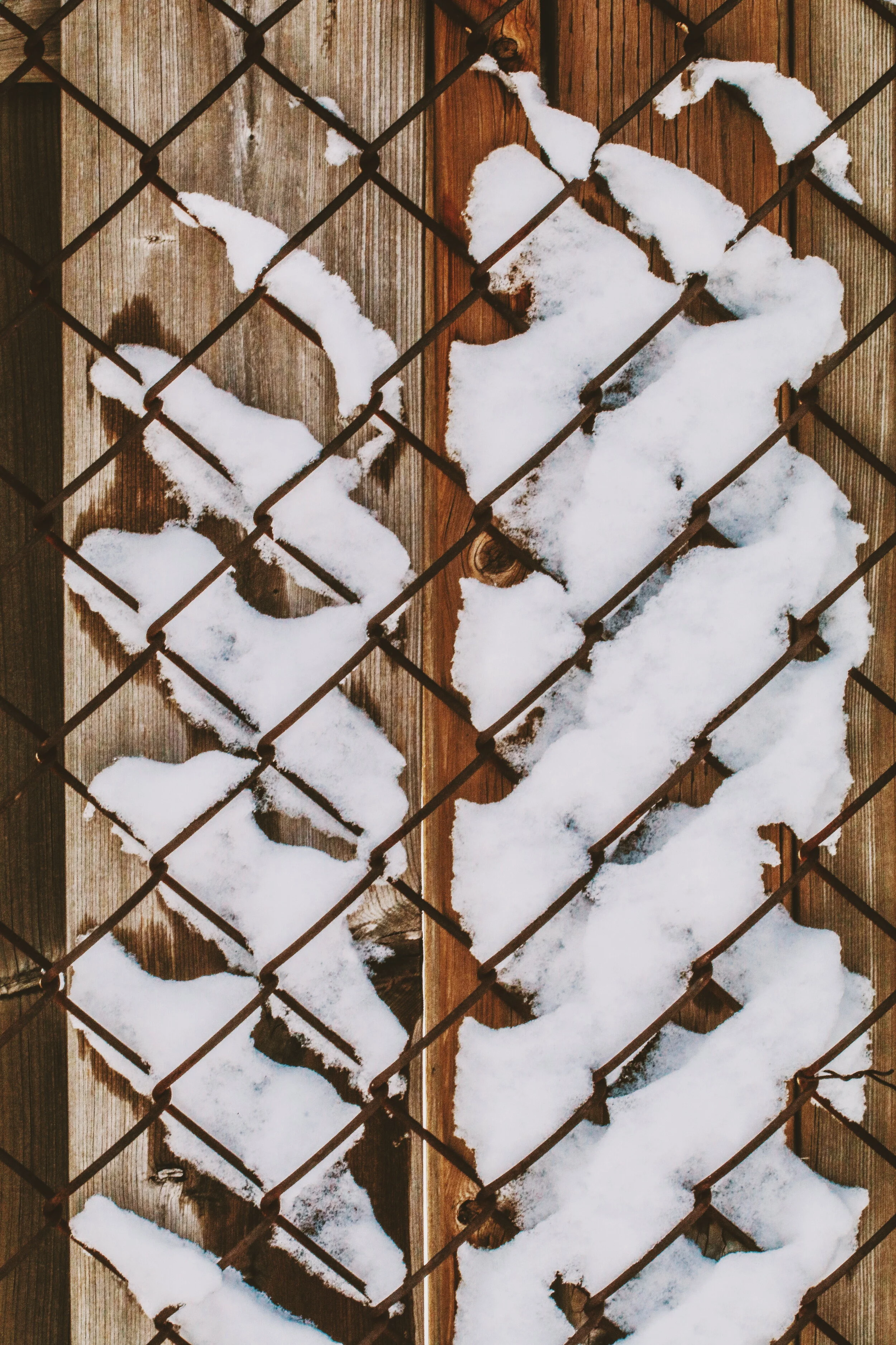 2020-02-27 12.54.53 1.jpg