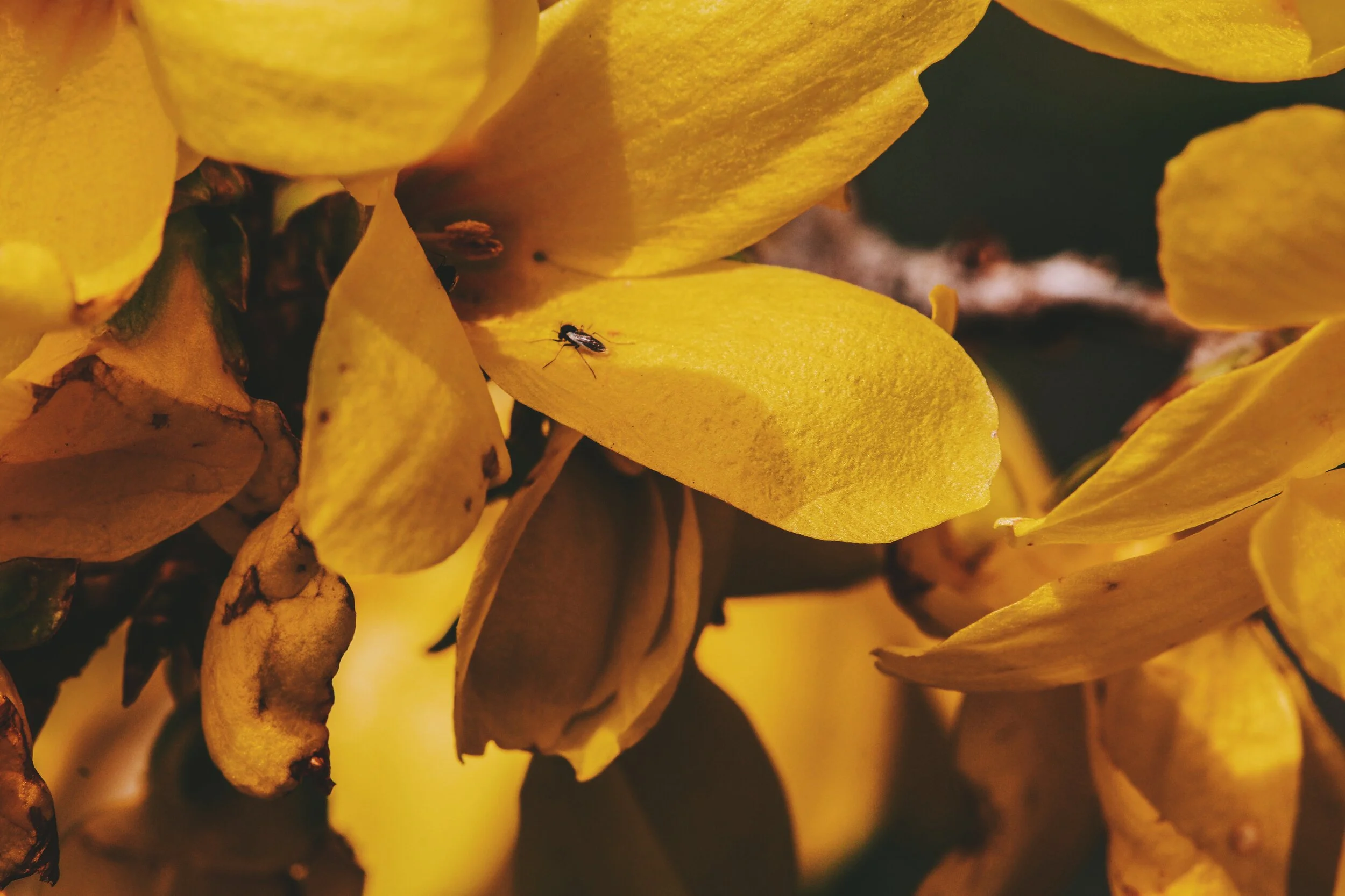 2020-04-19 01.57.32 1.jpg