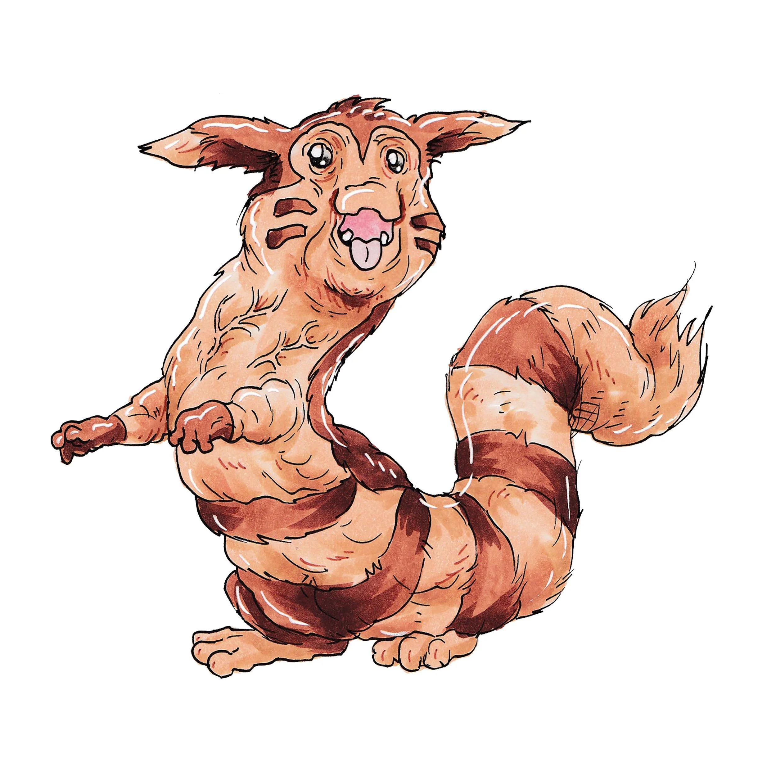 Furret