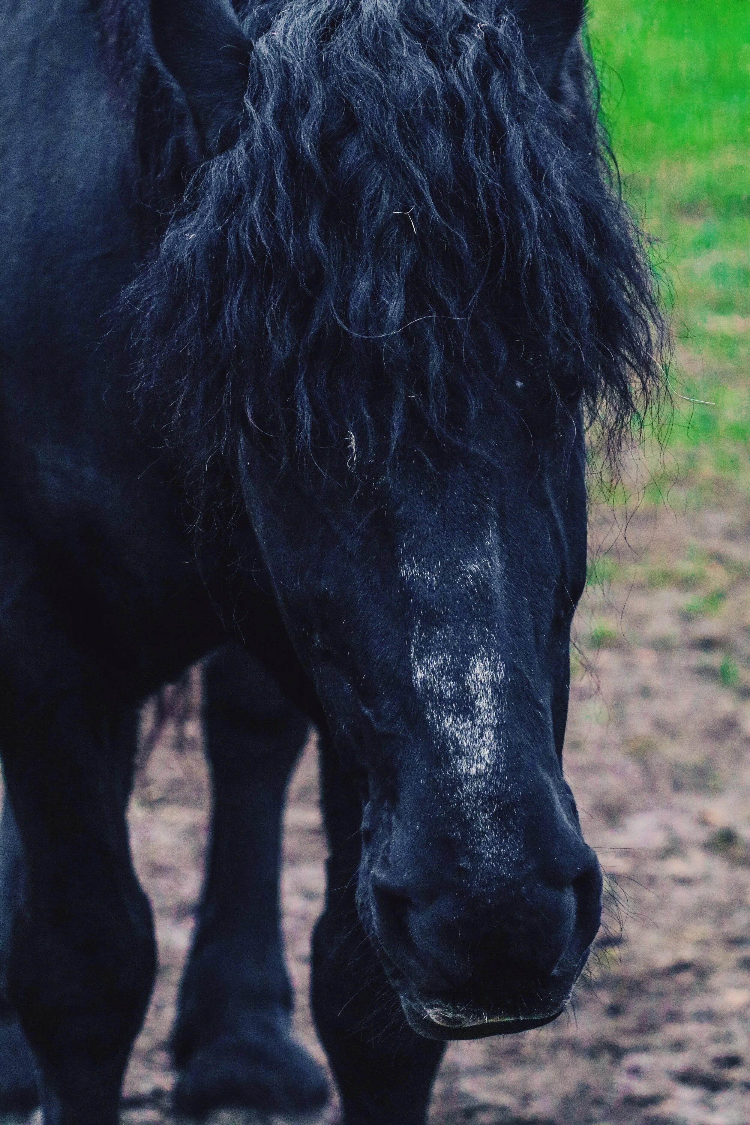 2018-10-07 07.44.16 2.jpg