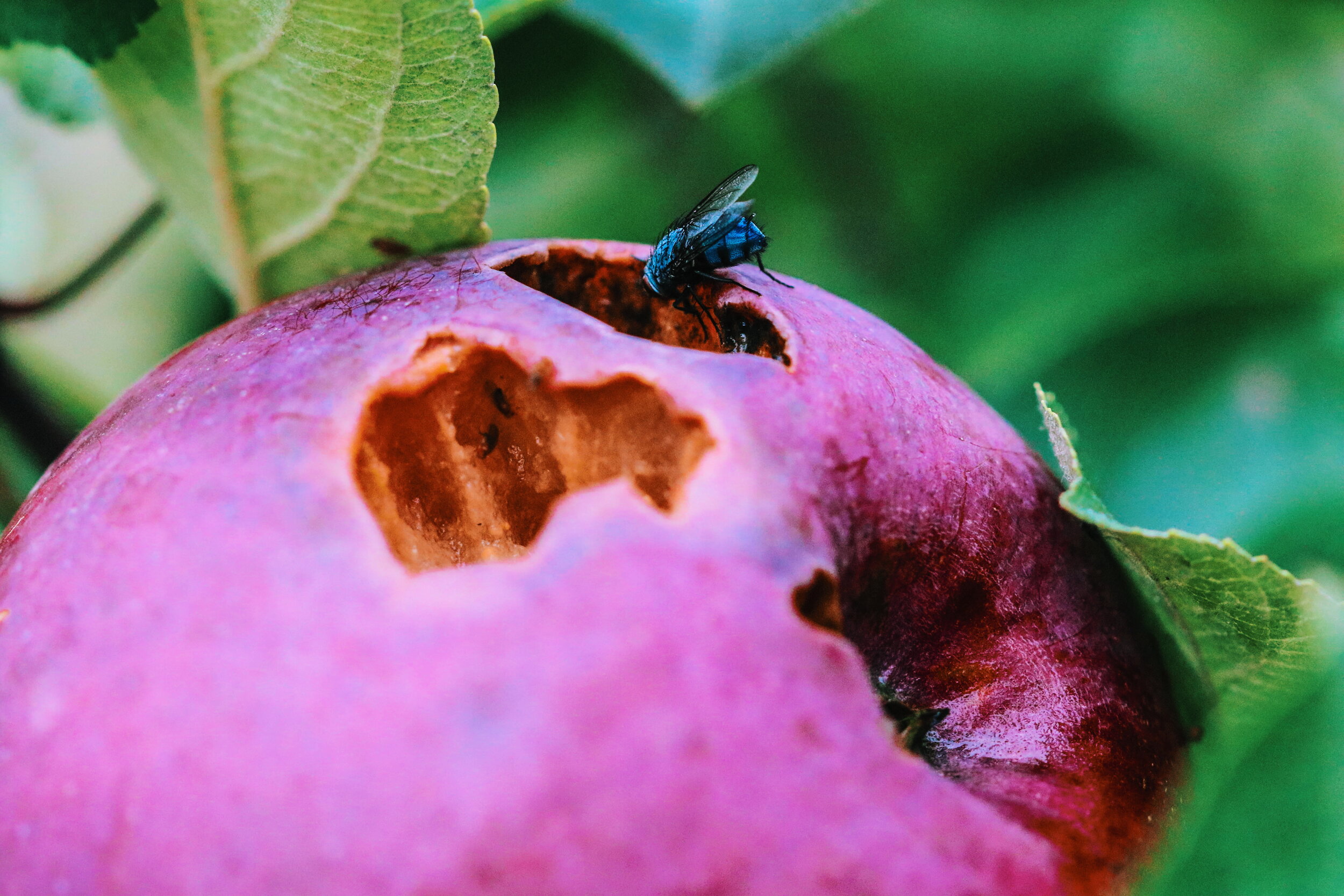 2018-10-07 07.44.17 2.jpg