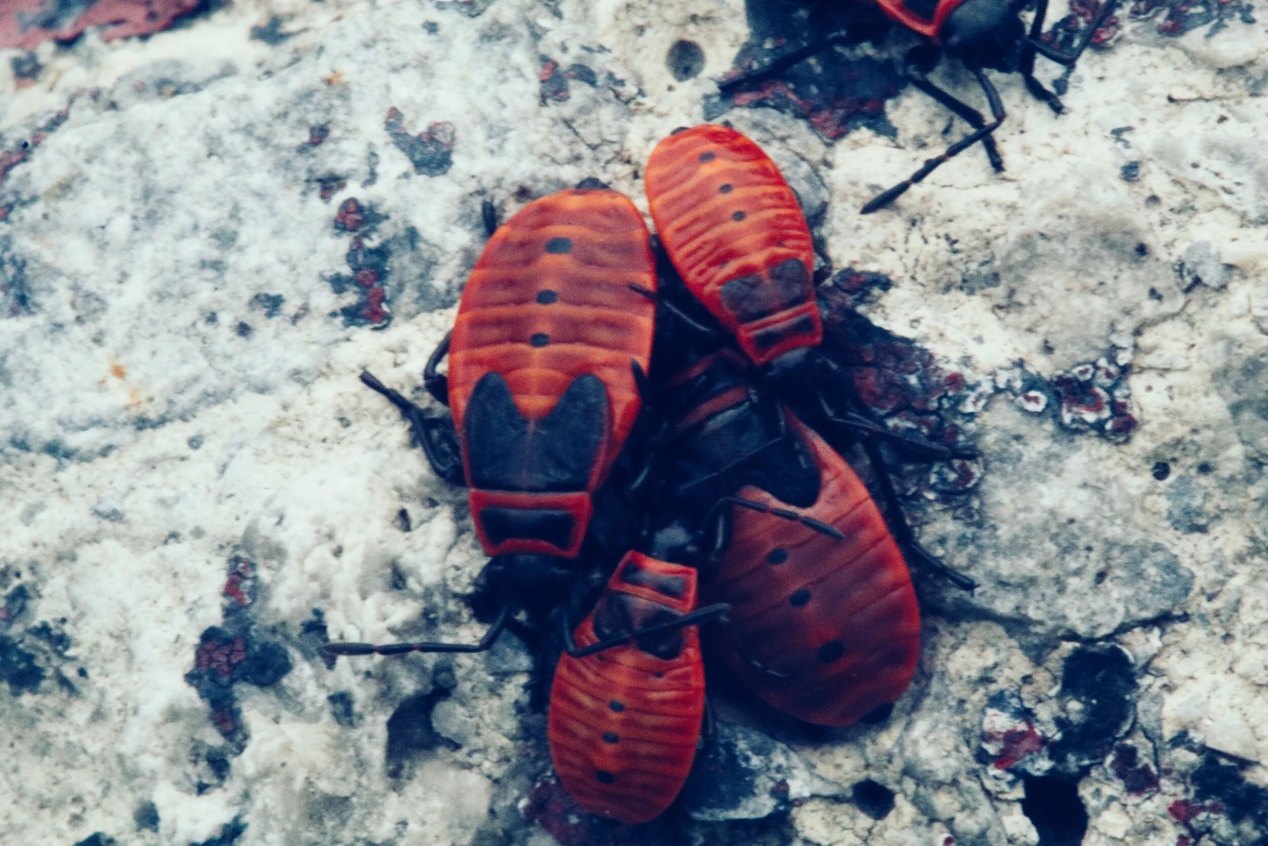 2018-09-11 06.37.12 1.jpg