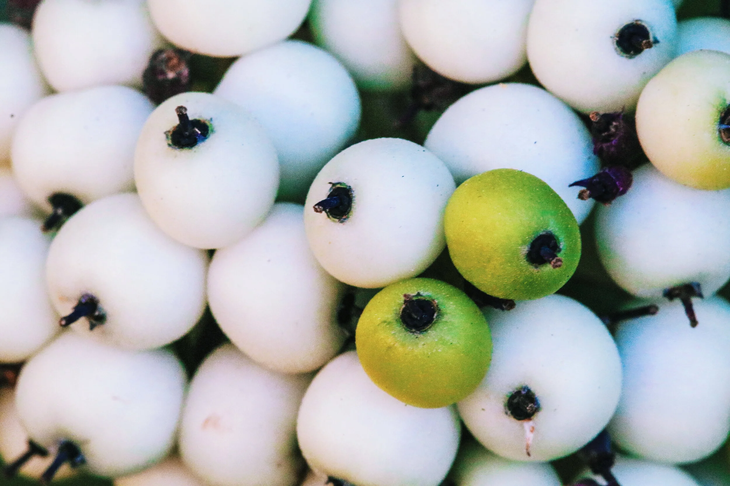 2018-09-19 04.50.54 1.jpg