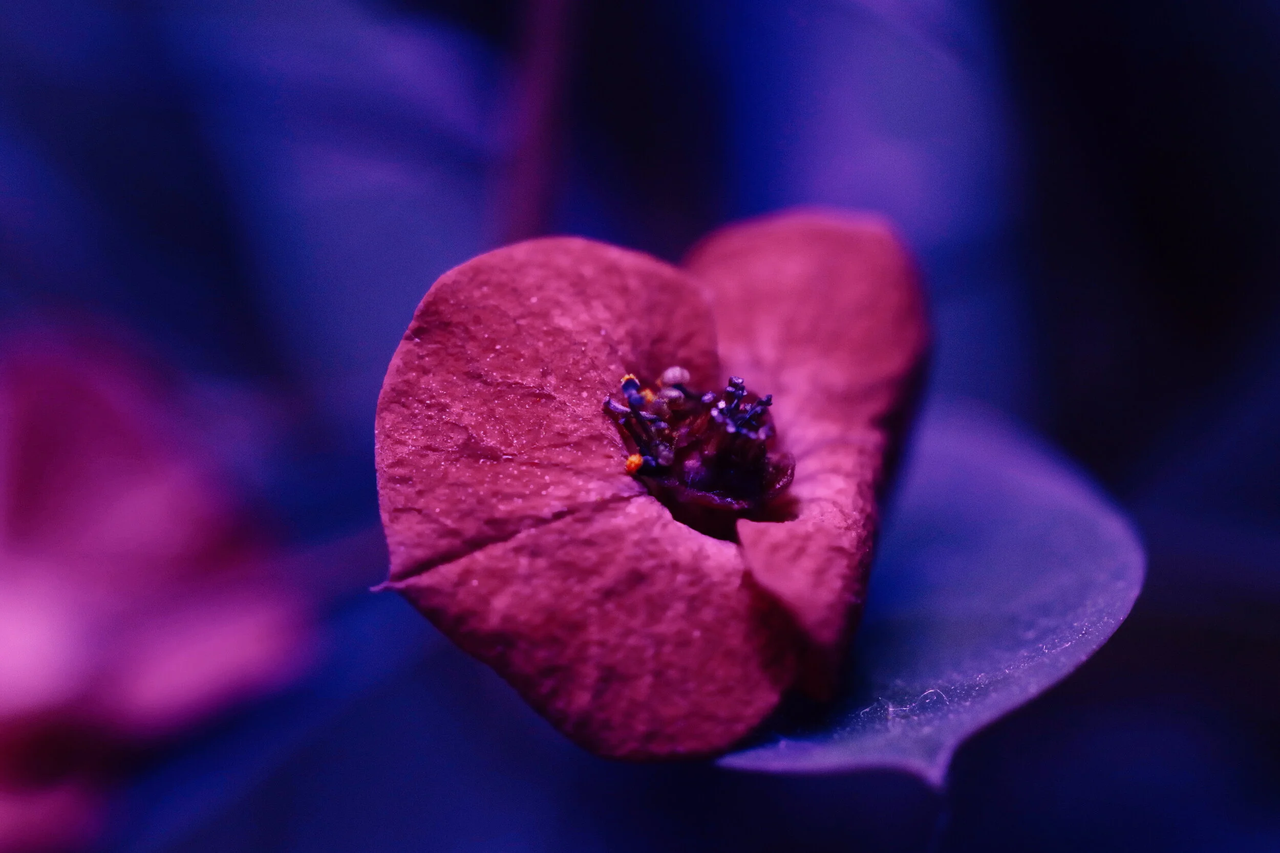 2018-12-25 10.22.26 1.jpg