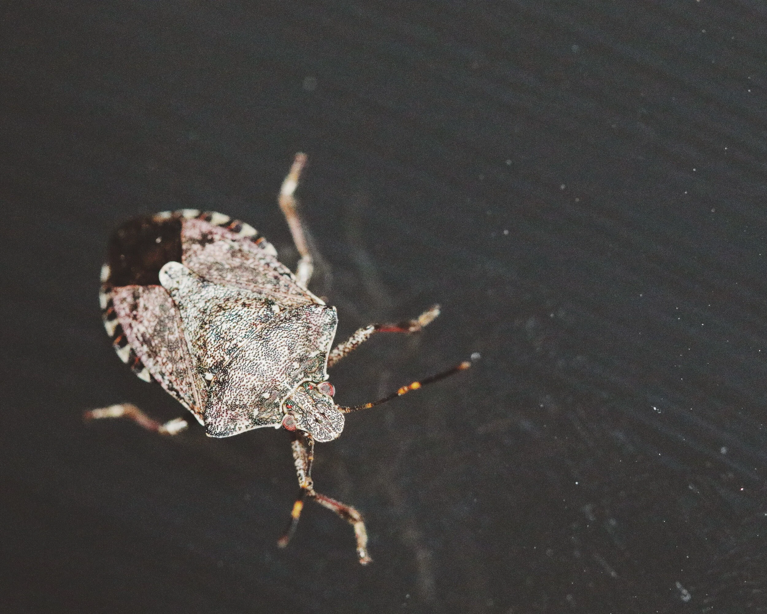 2018-08-16 12.02.47 1.jpg