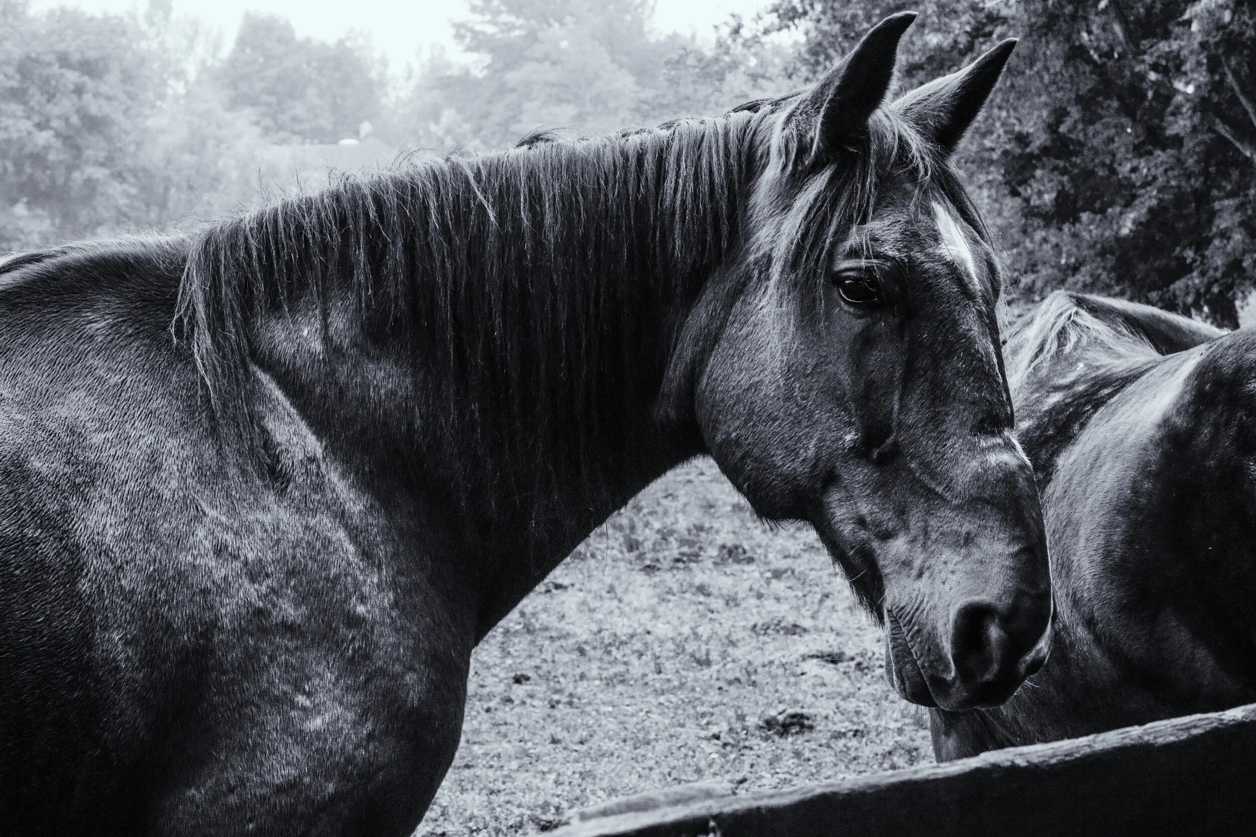 2018-10-07 07.44.02 1.jpg