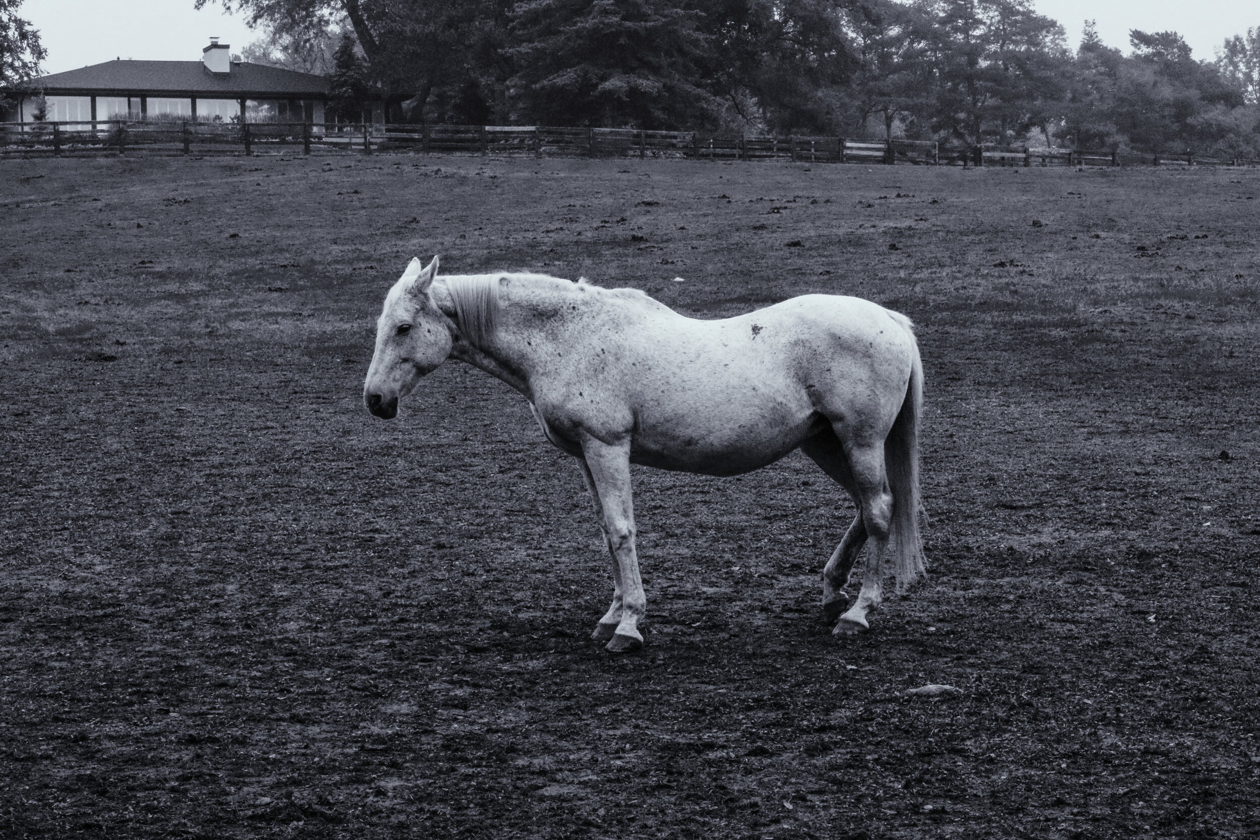 2018-10-07 07.44.00 1.jpg