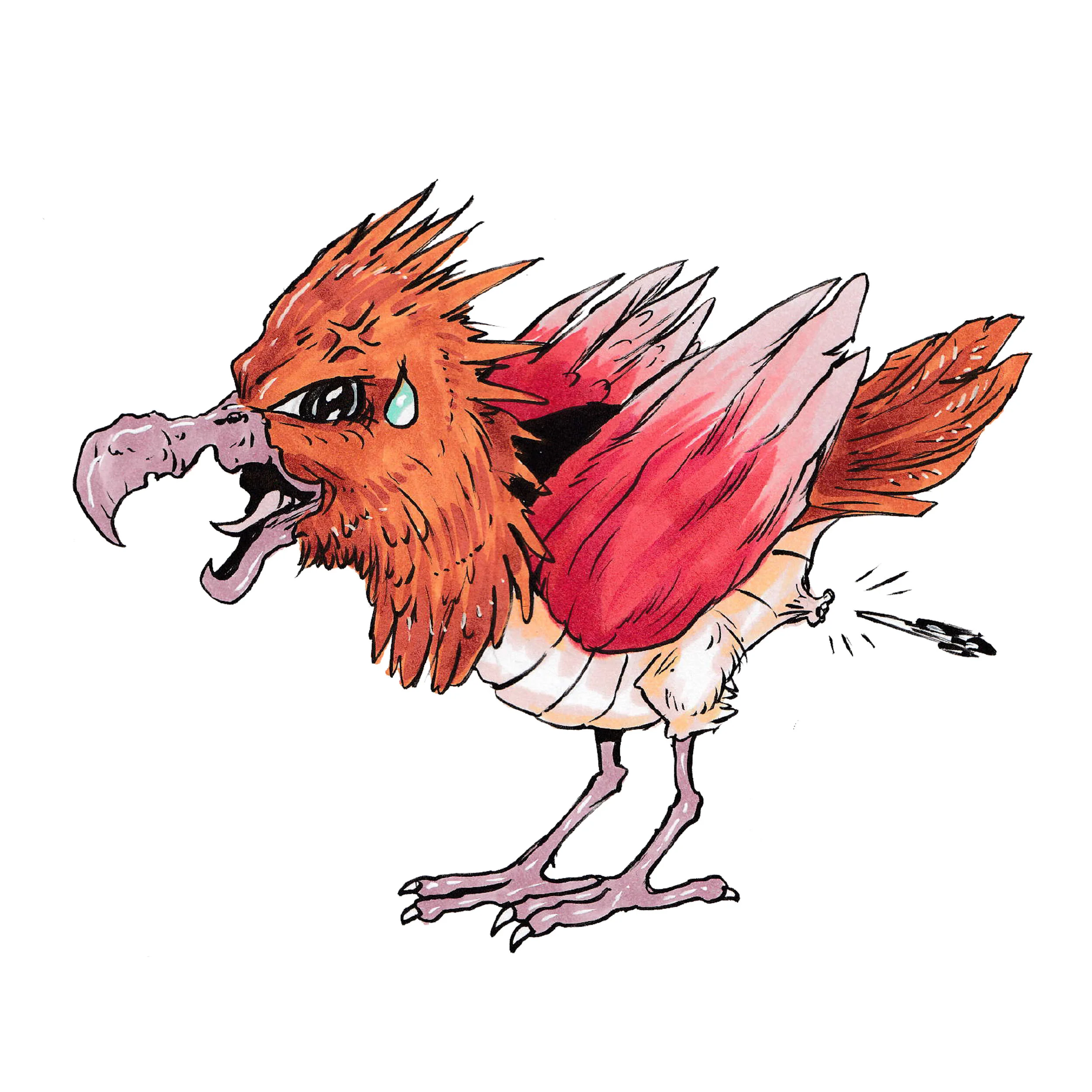 Spearow