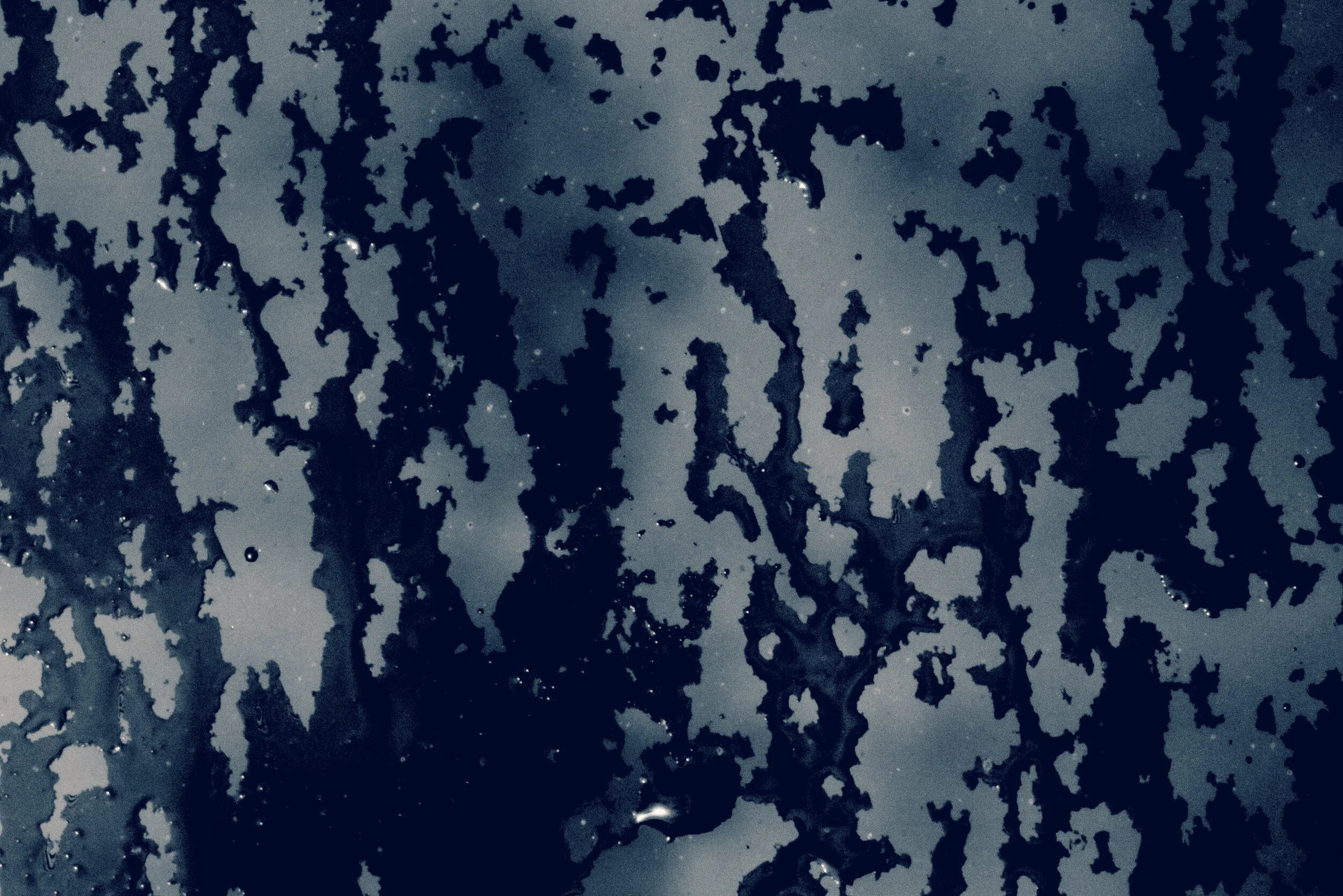 2020-02-27 12.56.34 1.jpg