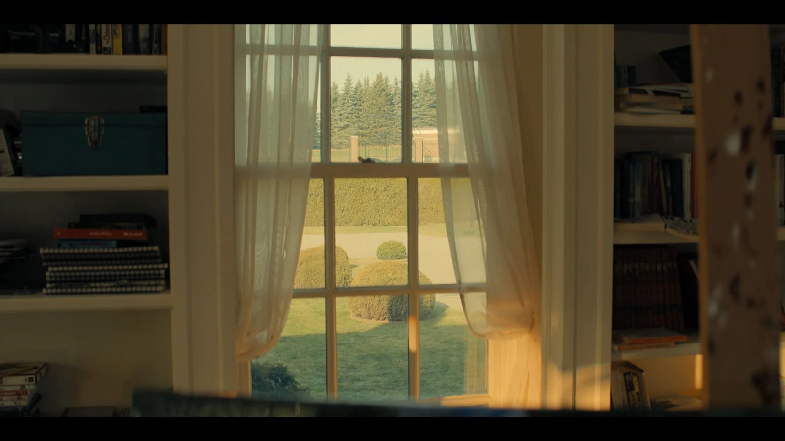 View through a window with white curtains showing a well-maintained garden with trimmed bushes and tall trees in the background.