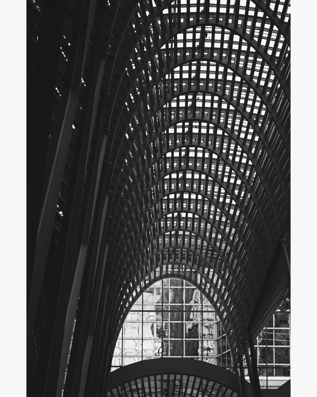 2018-07-06 06.10.05 1.jpg