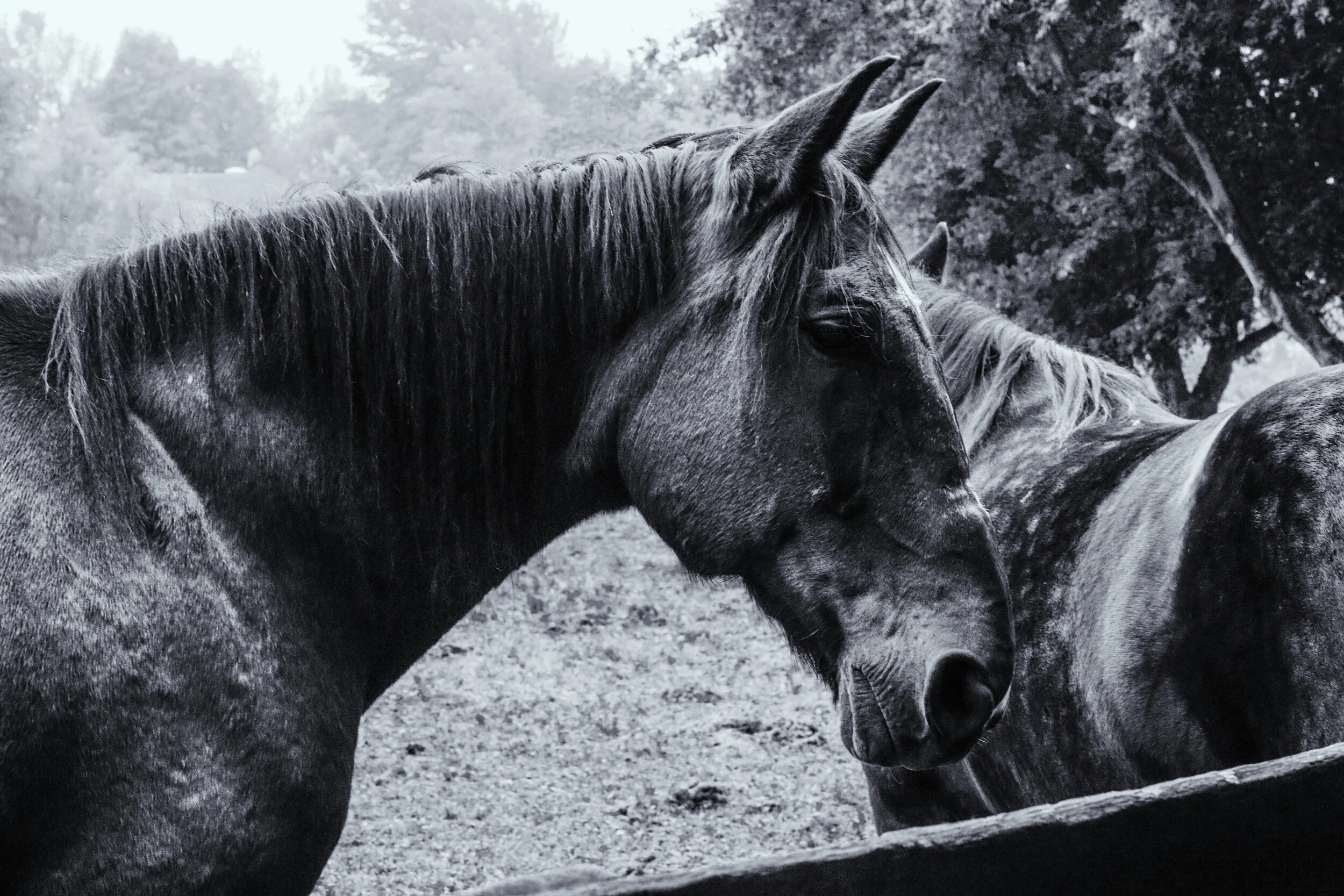 2018-10-07 07.44.03 1.jpg