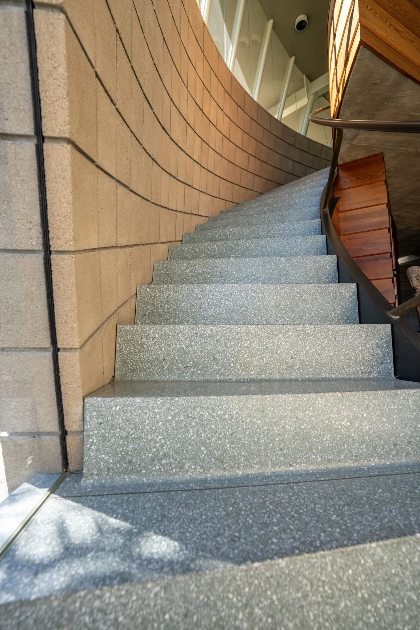 Untitled design (12).jpg