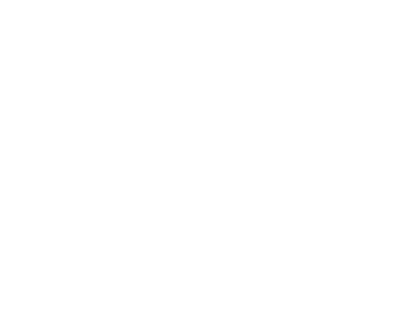 The Starlight Collective - Richmond Virginia &amp; Destination Wedding Videography &amp; Films