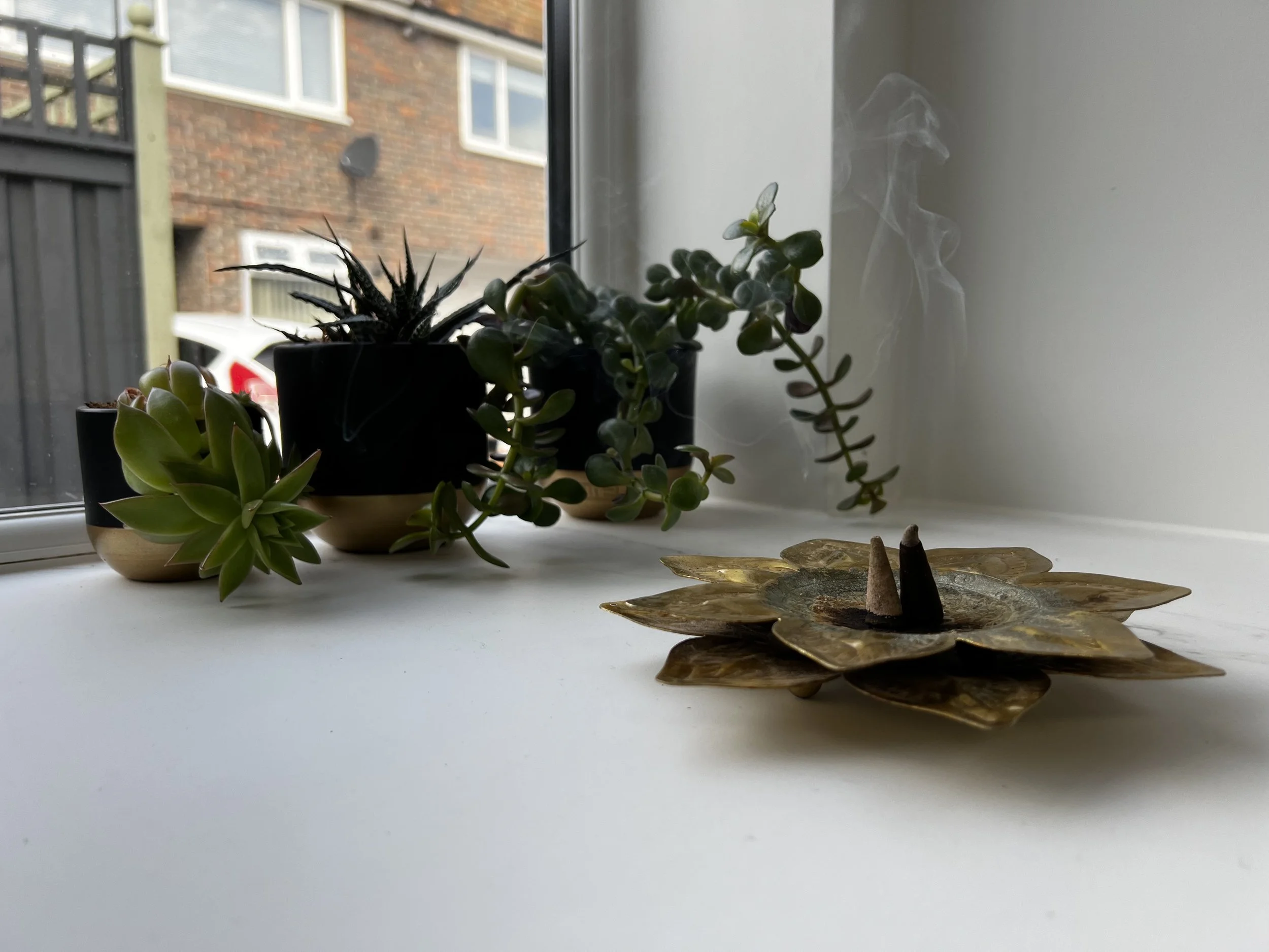 potted succulents on windowsill with burning incense cones on floral brass holder