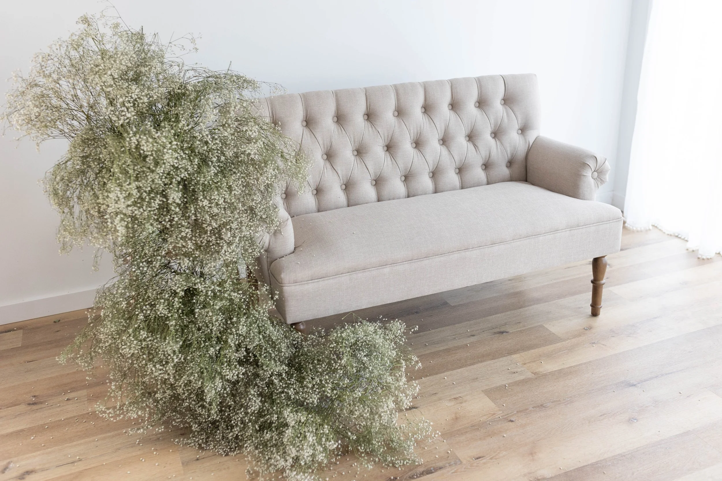 LoftHavenFarm BabyBreath-1.jpg