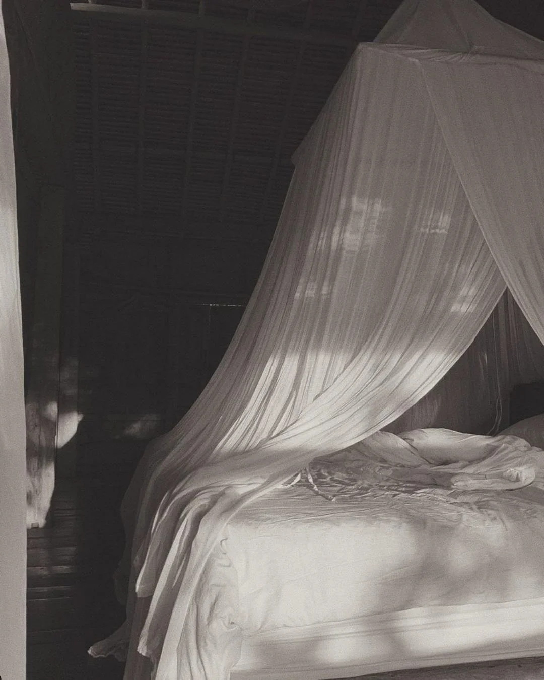 Harnessing the Power of Gratitude to Break Free from Negative Thoughts