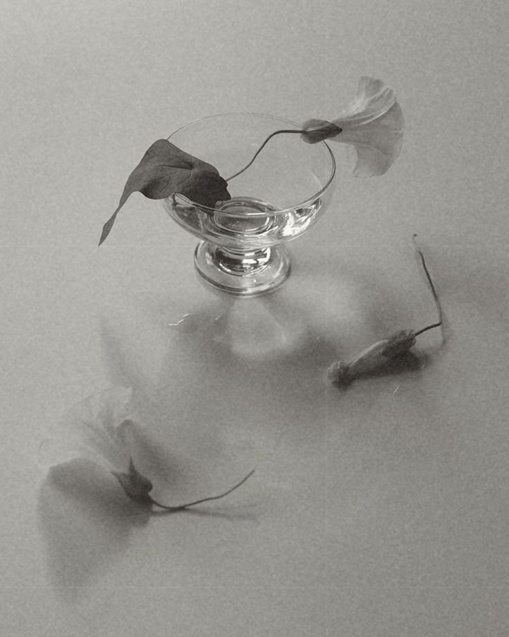 Understanding Macronutrients and Their Importance for Health and Wellbeing