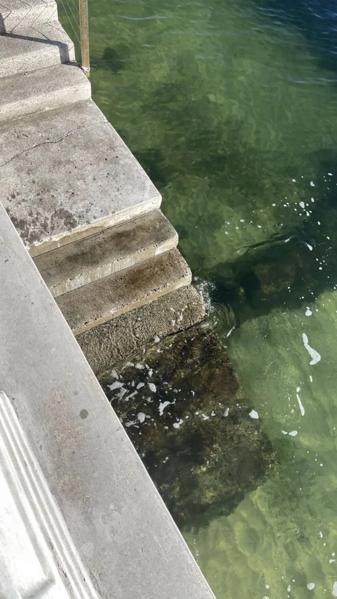 Coping With Past Trauma During Pregnancy: Triggers, Support, and Strategies