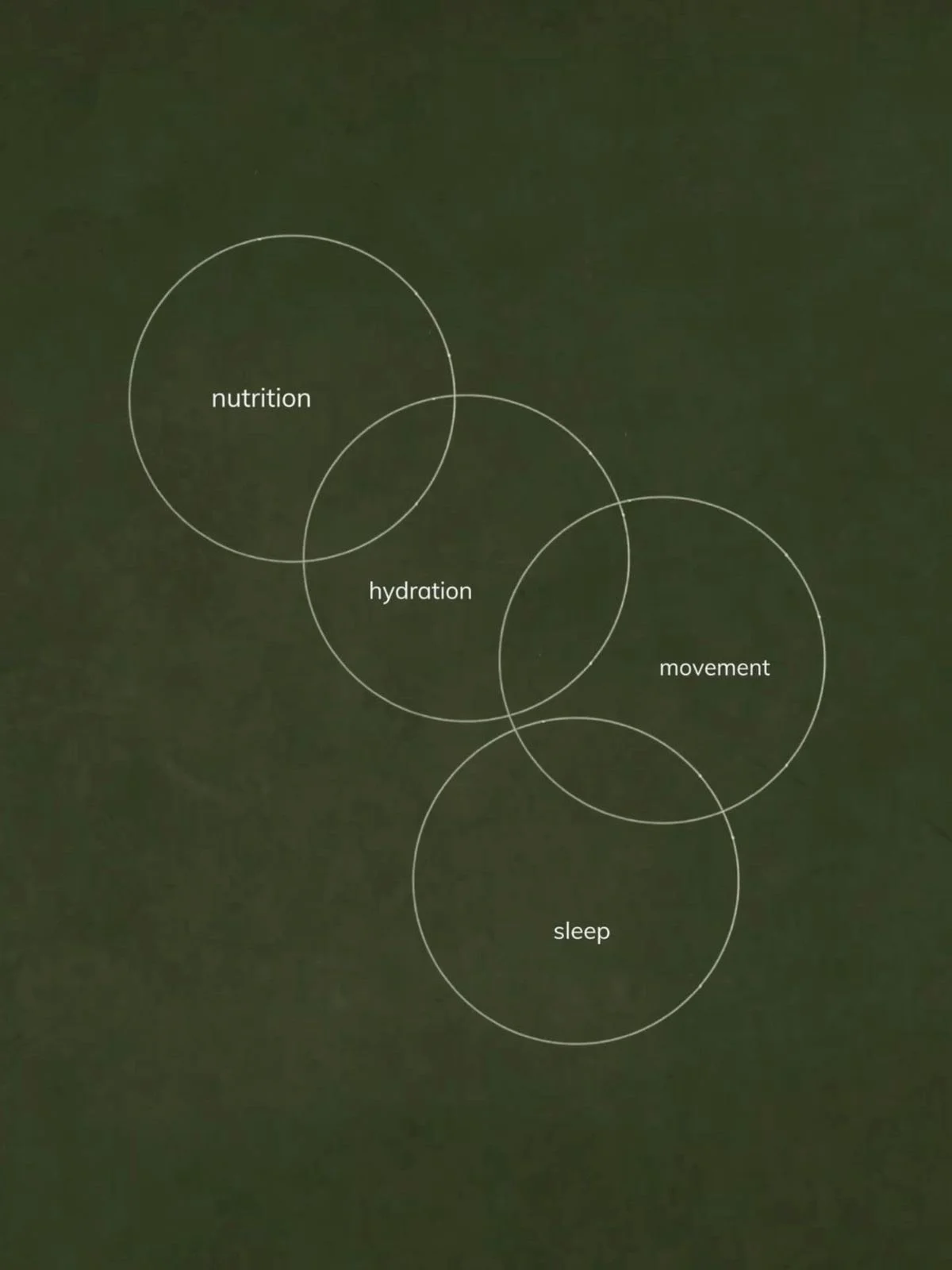 Eating Green for Your Mind: How Veganuary Boosts Mental and Physical Wellbeing