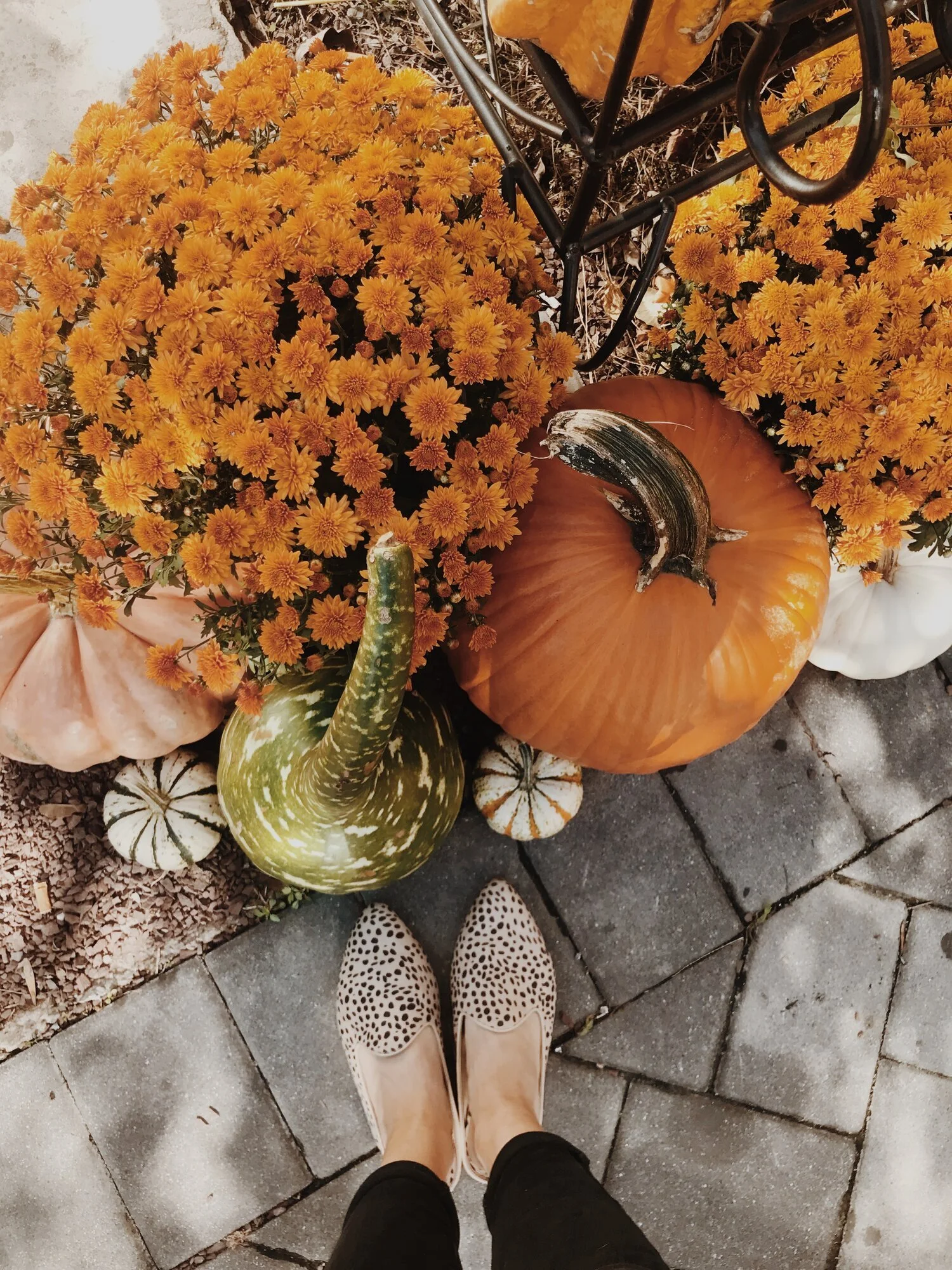 Ten Festive Fall Activities