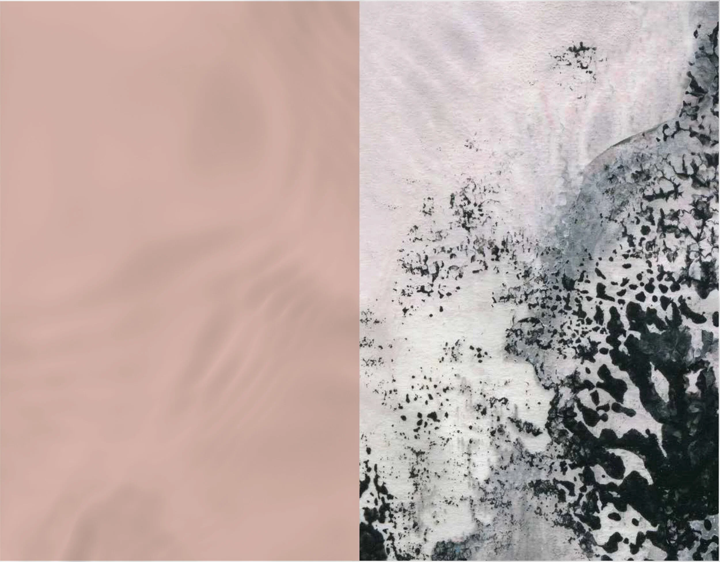 85958_FourSeasons-LosCabos-Oasis Spa-Menu_v2.jpg