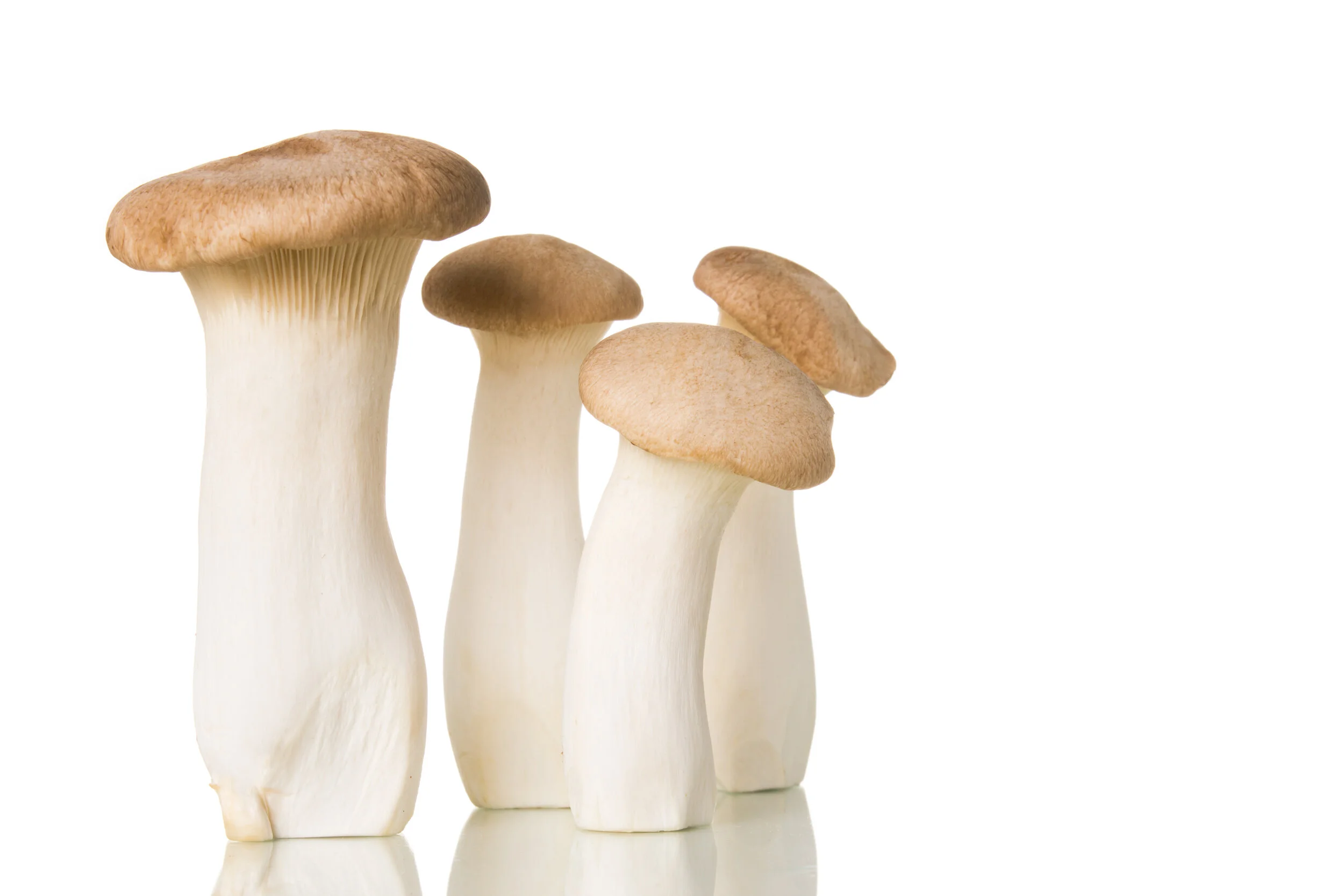 inar What's happening with mushrooms in China? — Applied