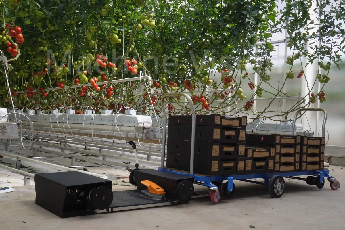 New picking cart trialled at Apex