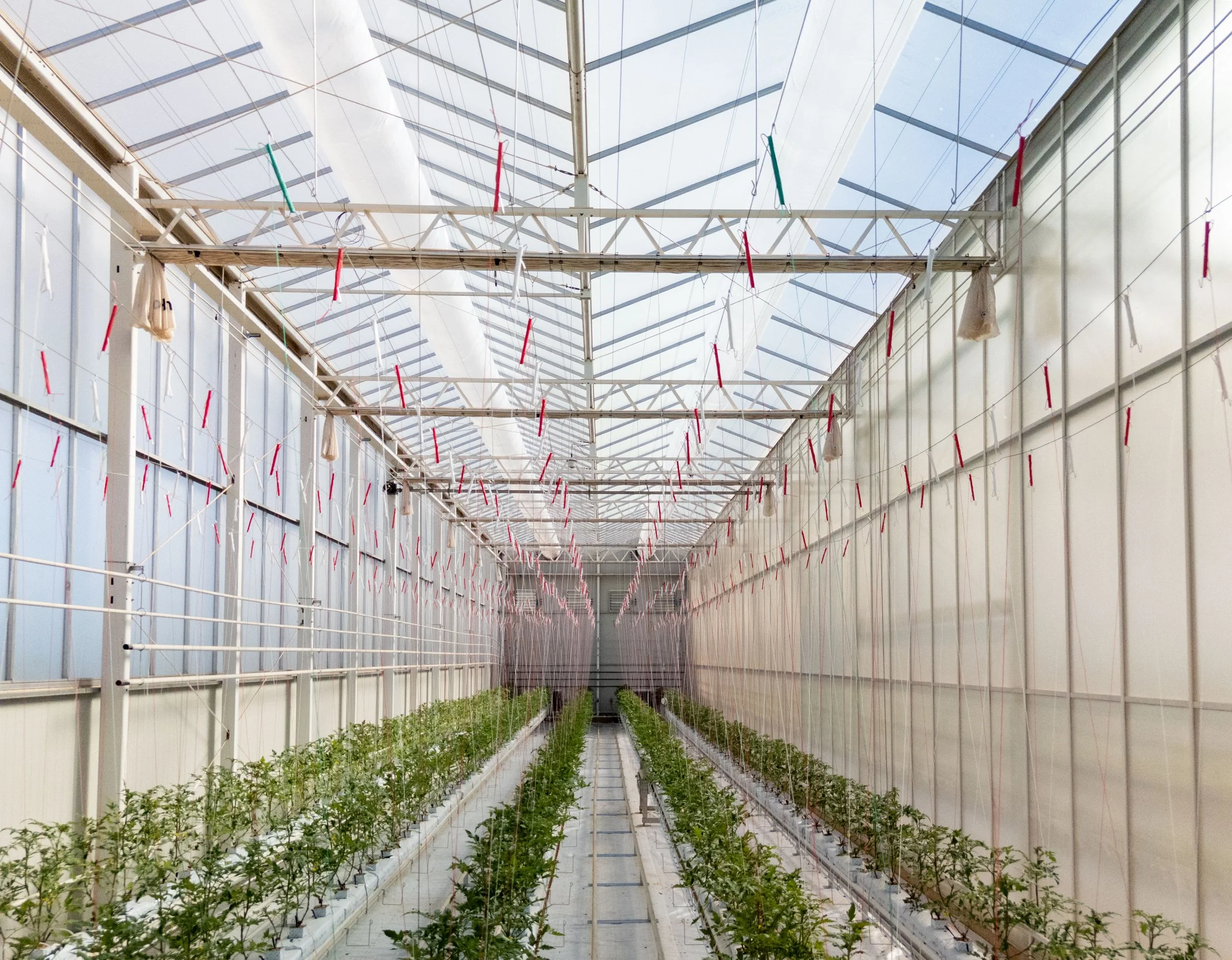 Expressions of Interest: Use of Apex Greenhouses demonstration glasshouse facility