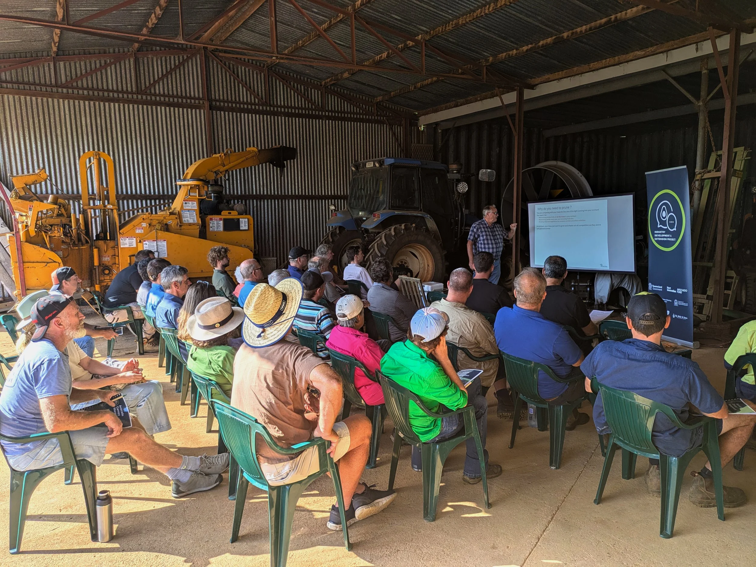 Canopy management in action: Avocado workshop at Comboyne
