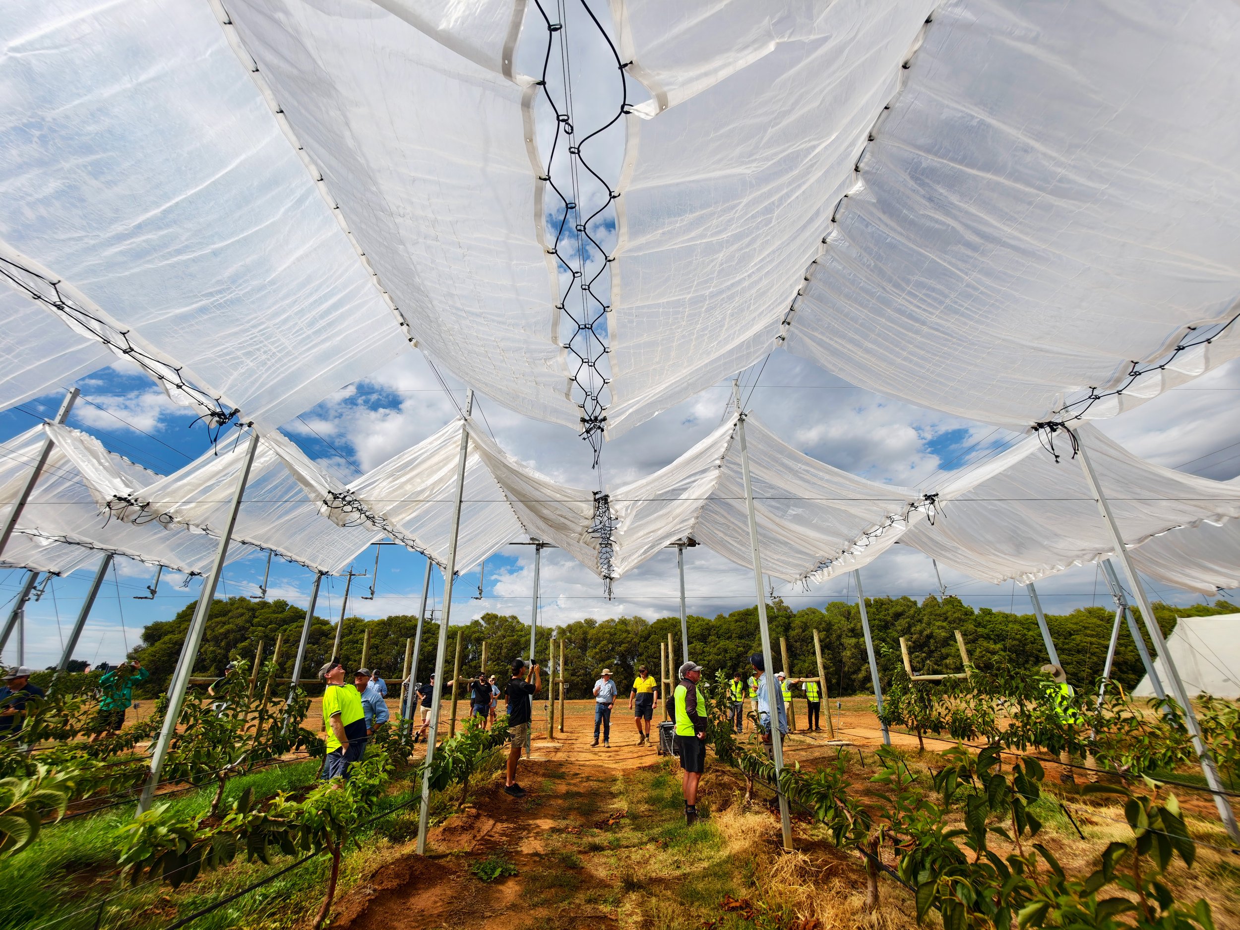 04 Cravo field day 3(Enhanced).jpg