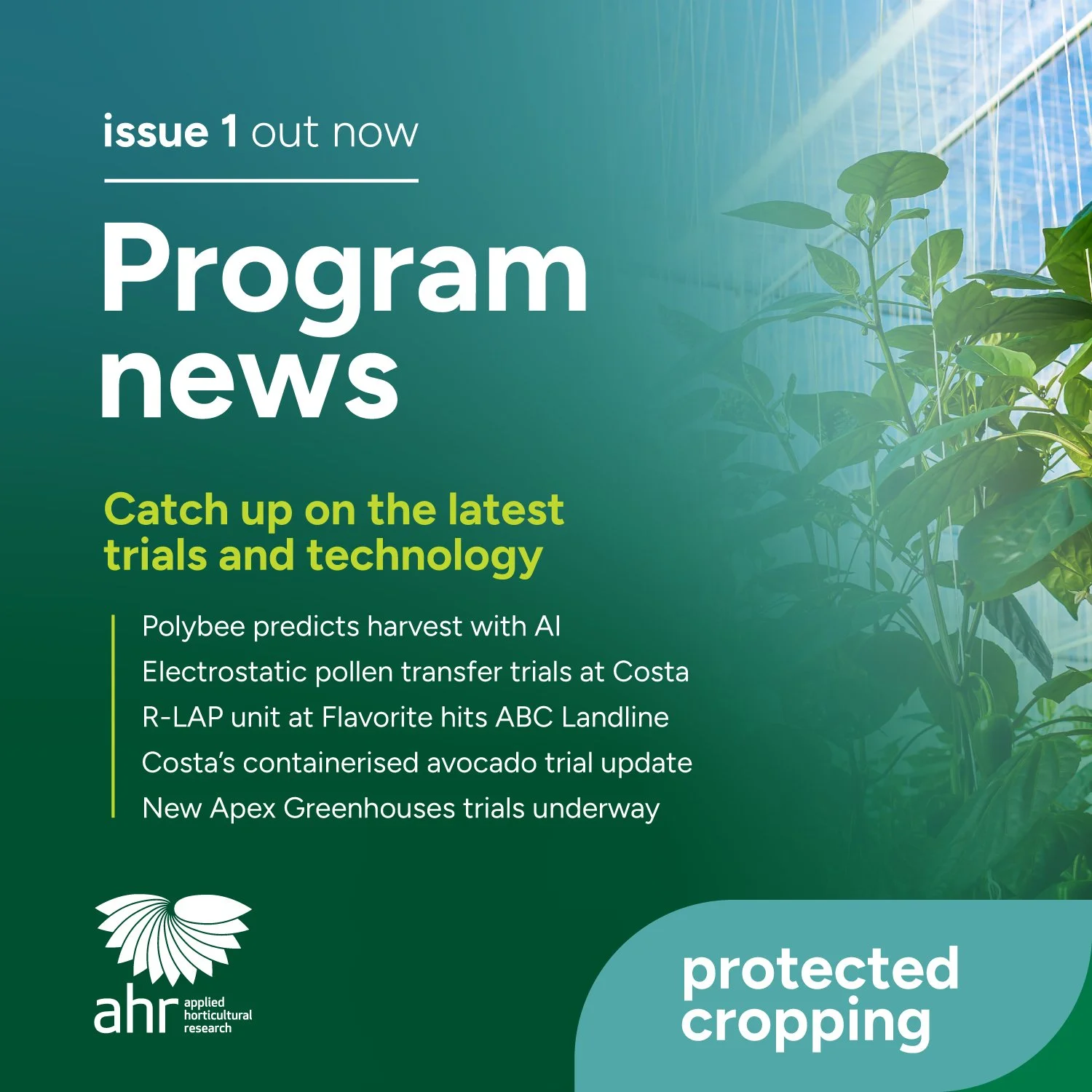 Protected cropping program news