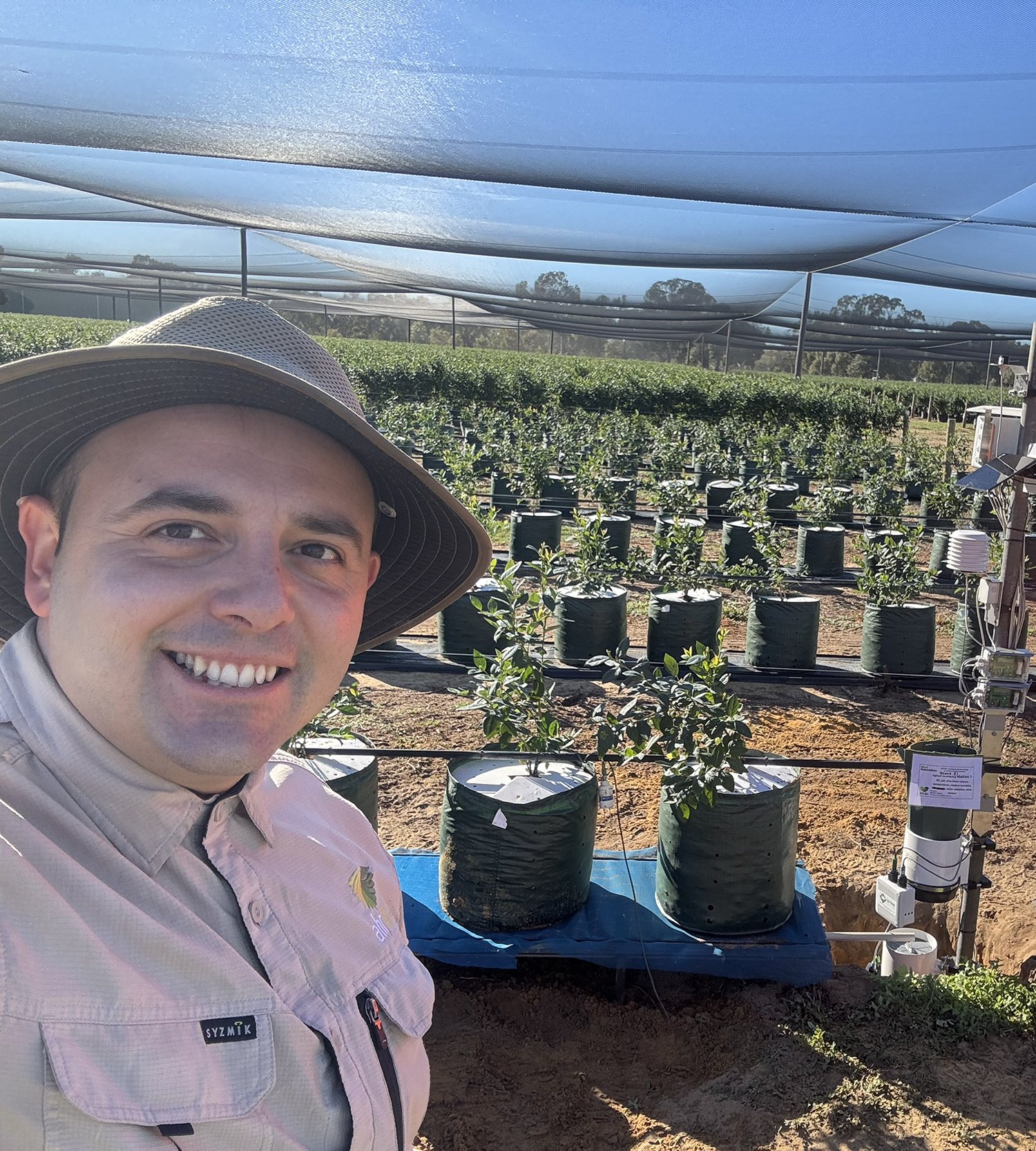 Protected cropping podcast: AHR on protected cropping berry trials