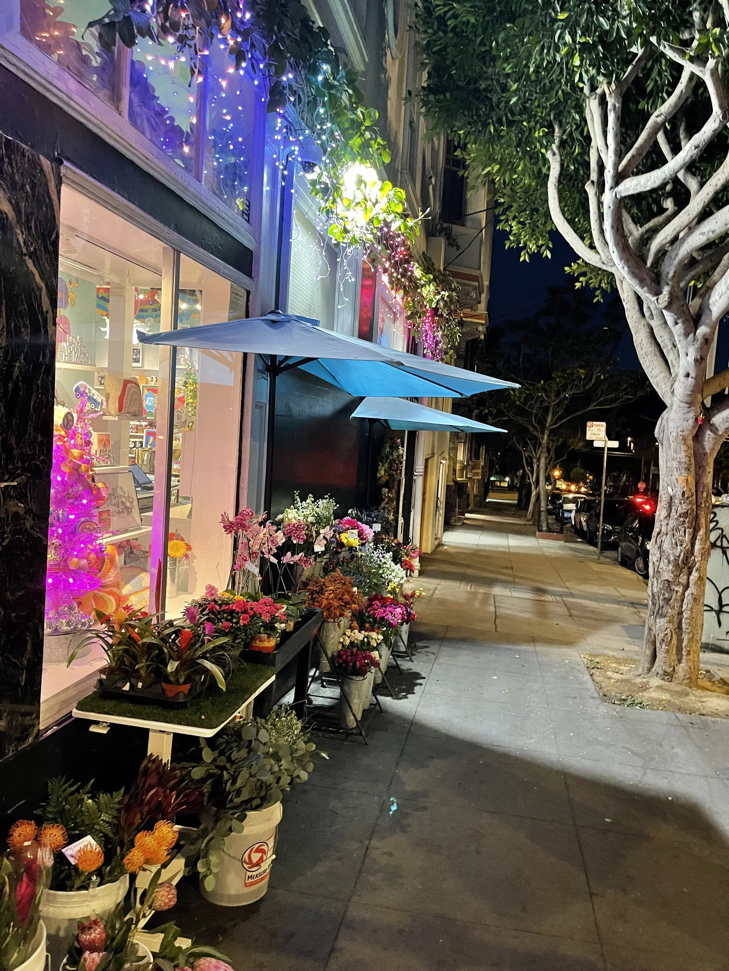 Your Guide to The San Francisco Bay Area