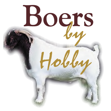 Boers by Hobby