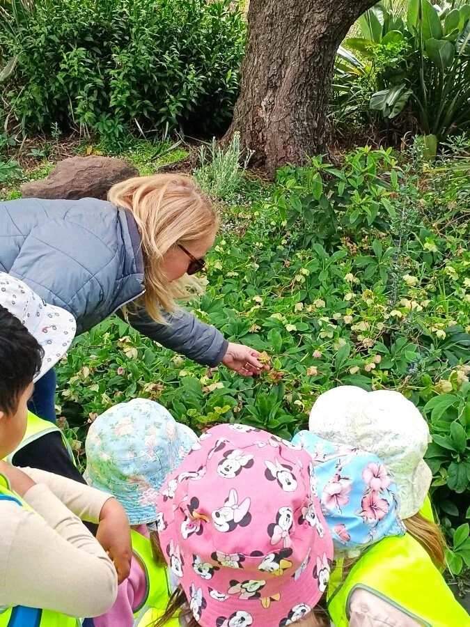 A woman showing children how to pick berries in a lush garden or farm.