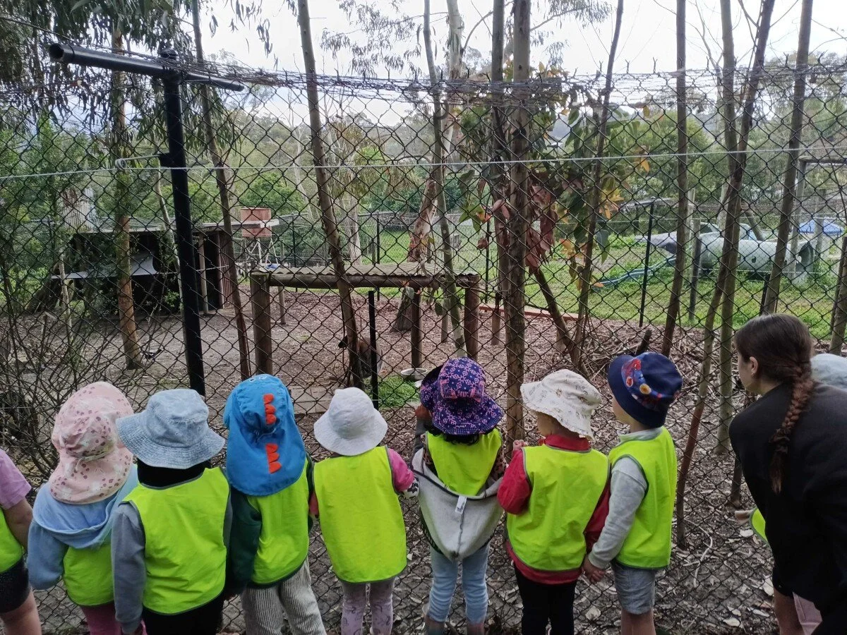 A group of young children wearing yellow safety vests and hats observe a cage with animals at a zoo or farm.