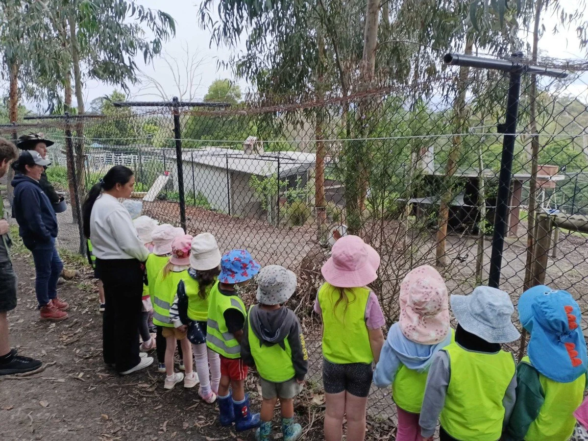 Children and adults on a school trip observing animals inside an enclosed wildlife exhibit at a zoo.