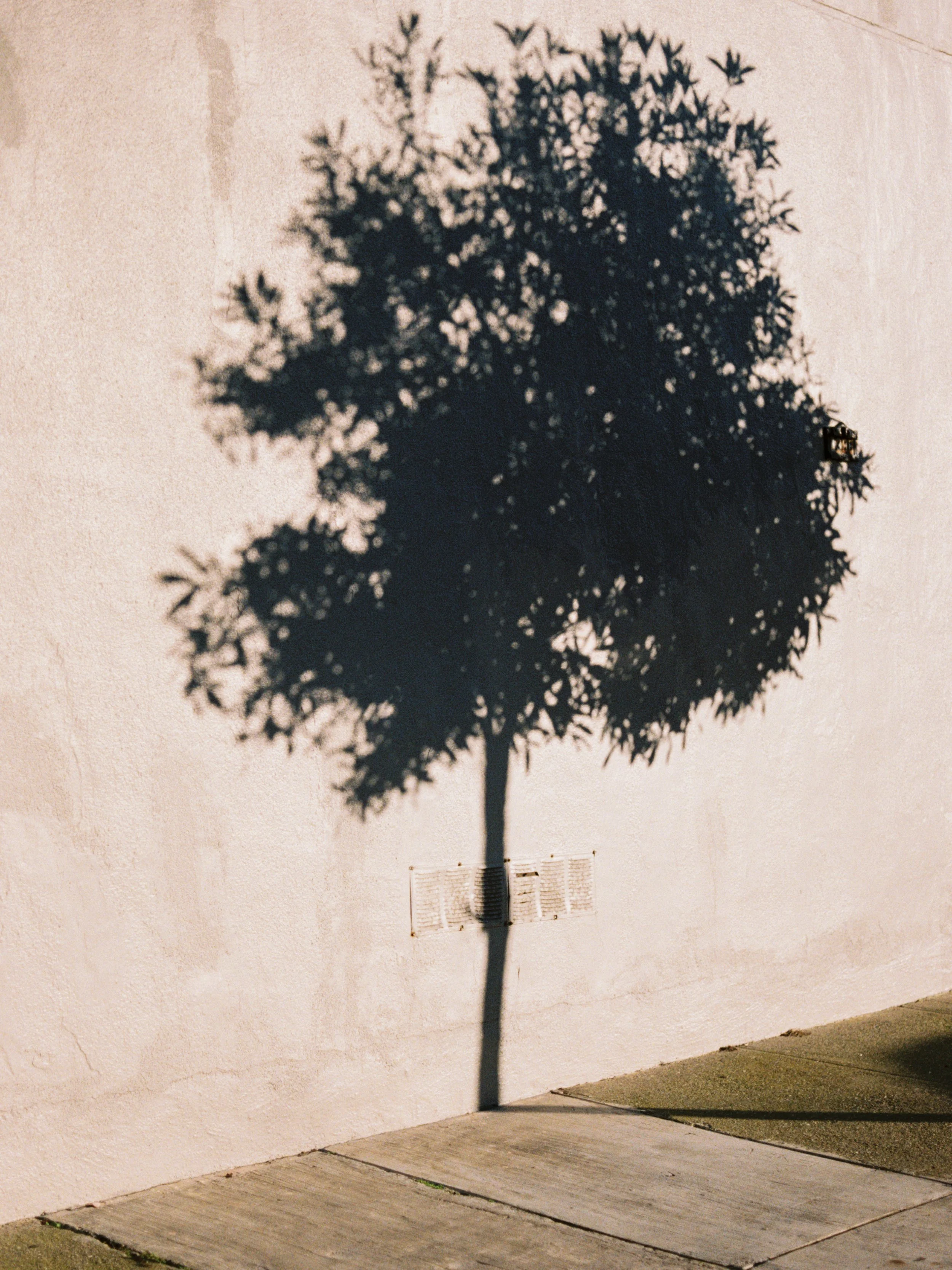 Catching January light