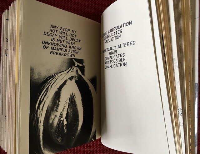 image12 (2).jpeg
