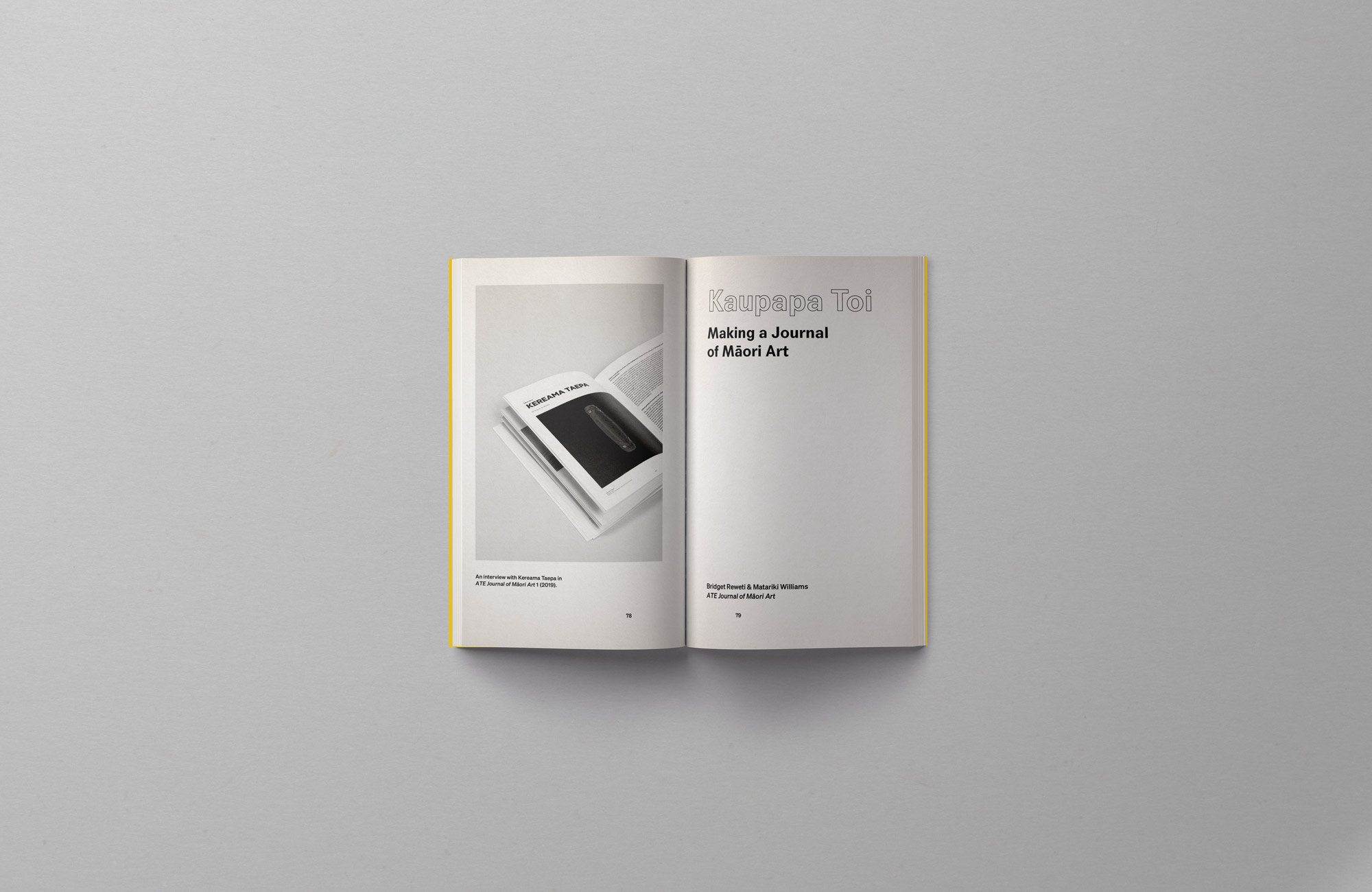 DITM-Internal-Pages-ATE1.jpg