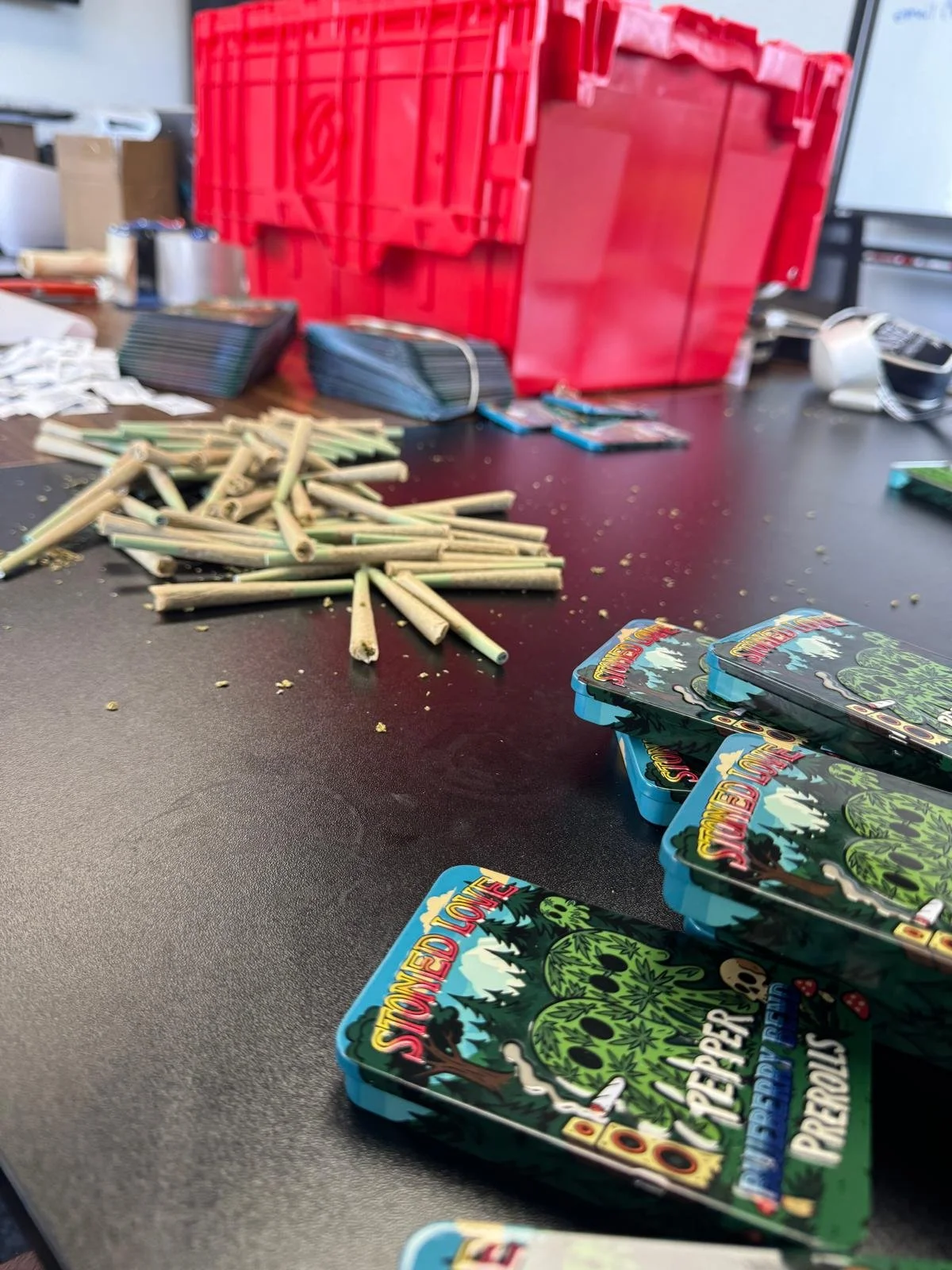 WhatsApp Image 2026-02-02 at 12.05.53 PM.jpeg