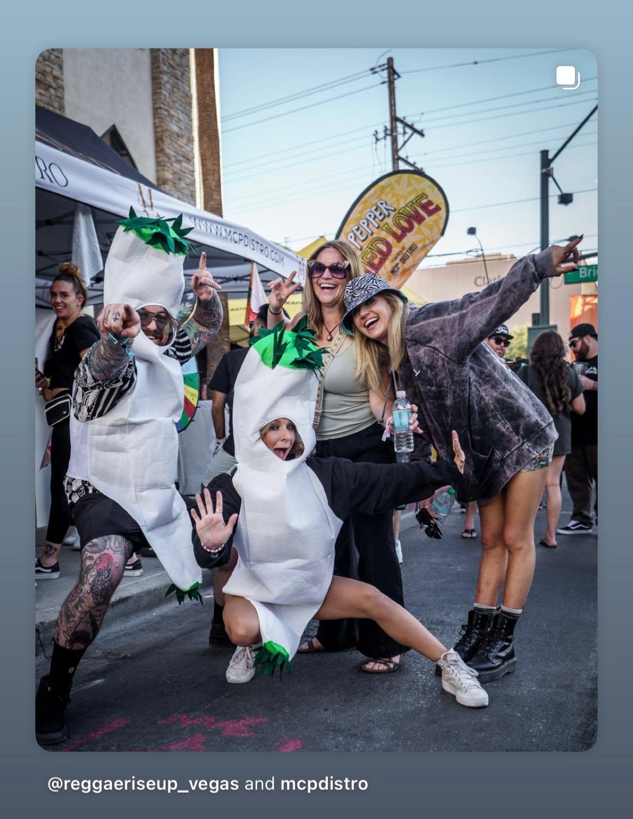 WhatsApp Image 2026-02-02 at 12.08.30 PM.jpeg