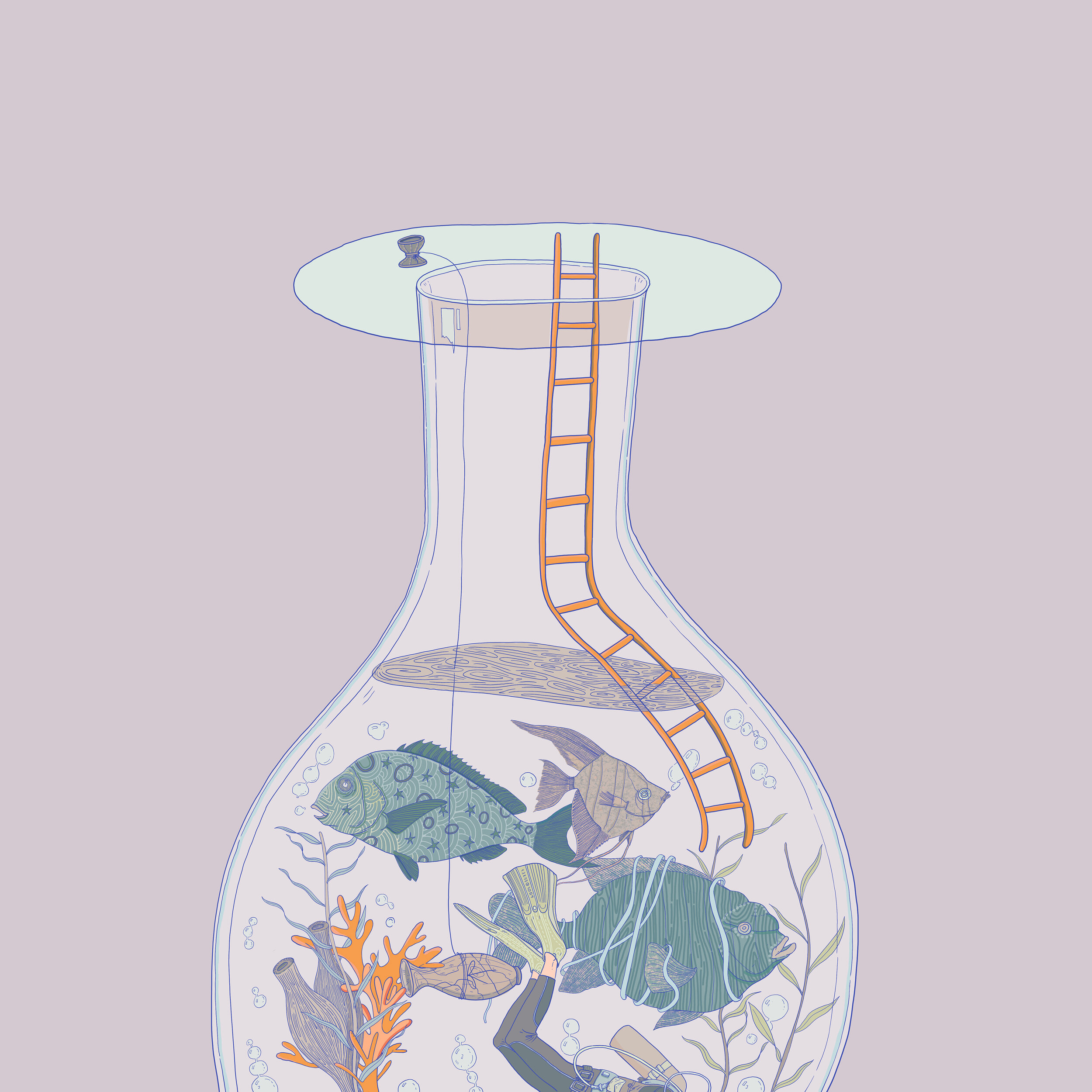 The Bottle - 2019