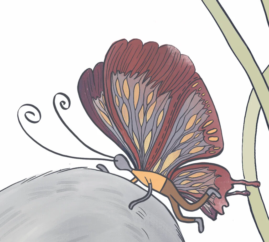 butterfly.jpg