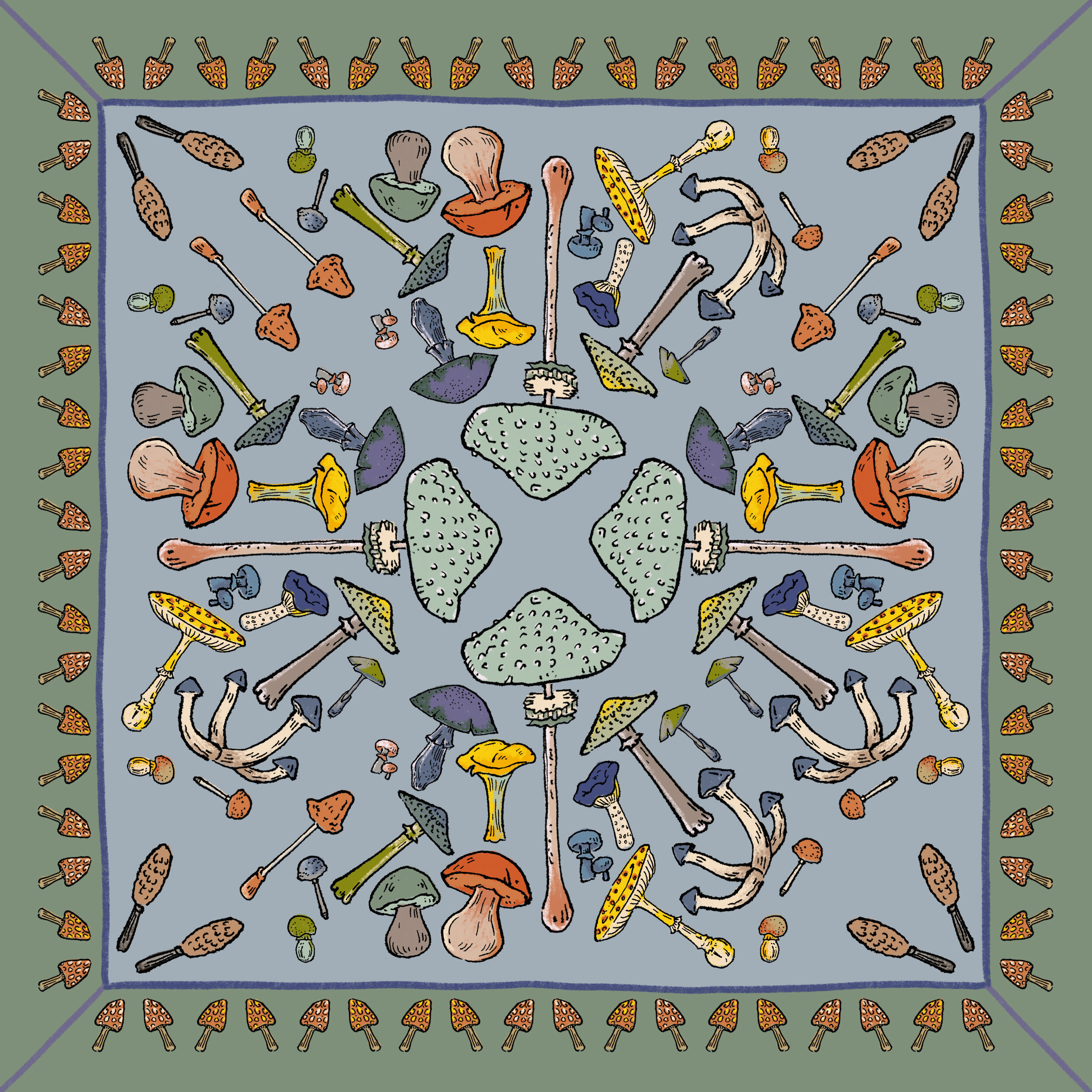 mushrooms-flora.jpg