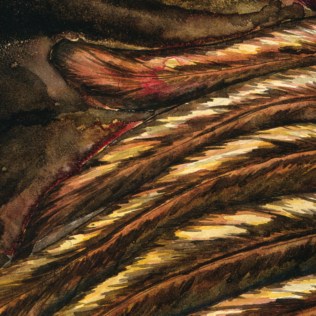 Detail2.jpg
