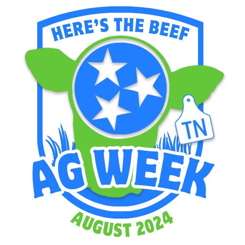 Advertise at HTB!